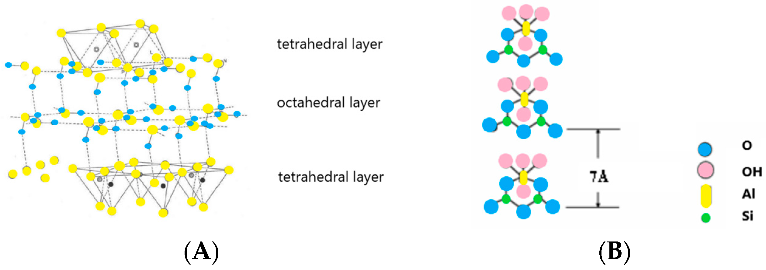 Polymers 16 02505 g003