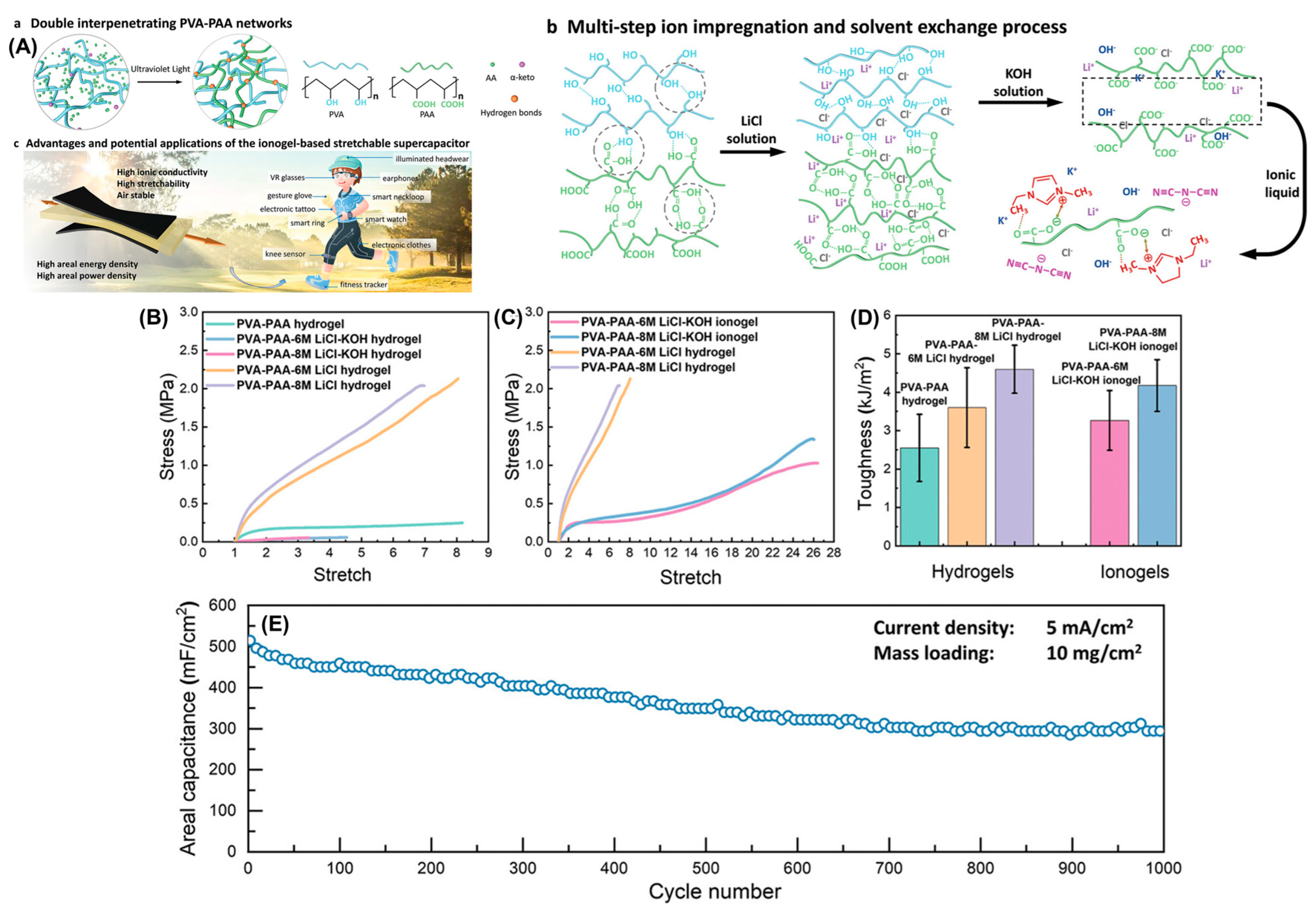 Polymers 16 02506 g002