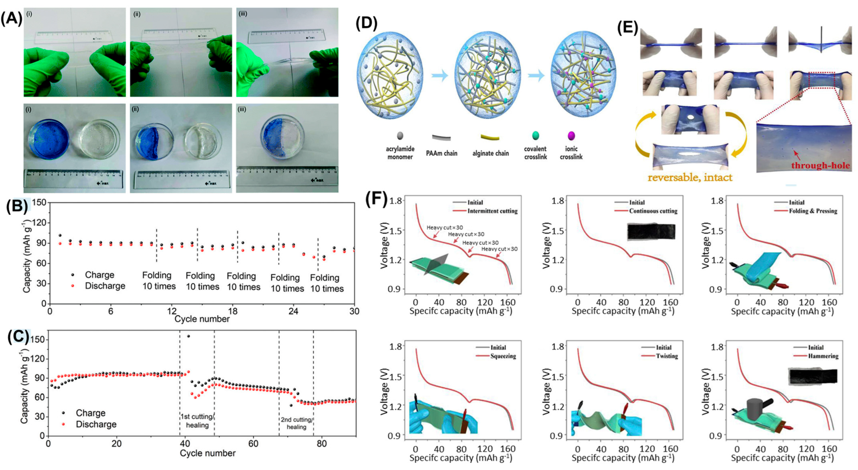 Polymers 16 02506 g006