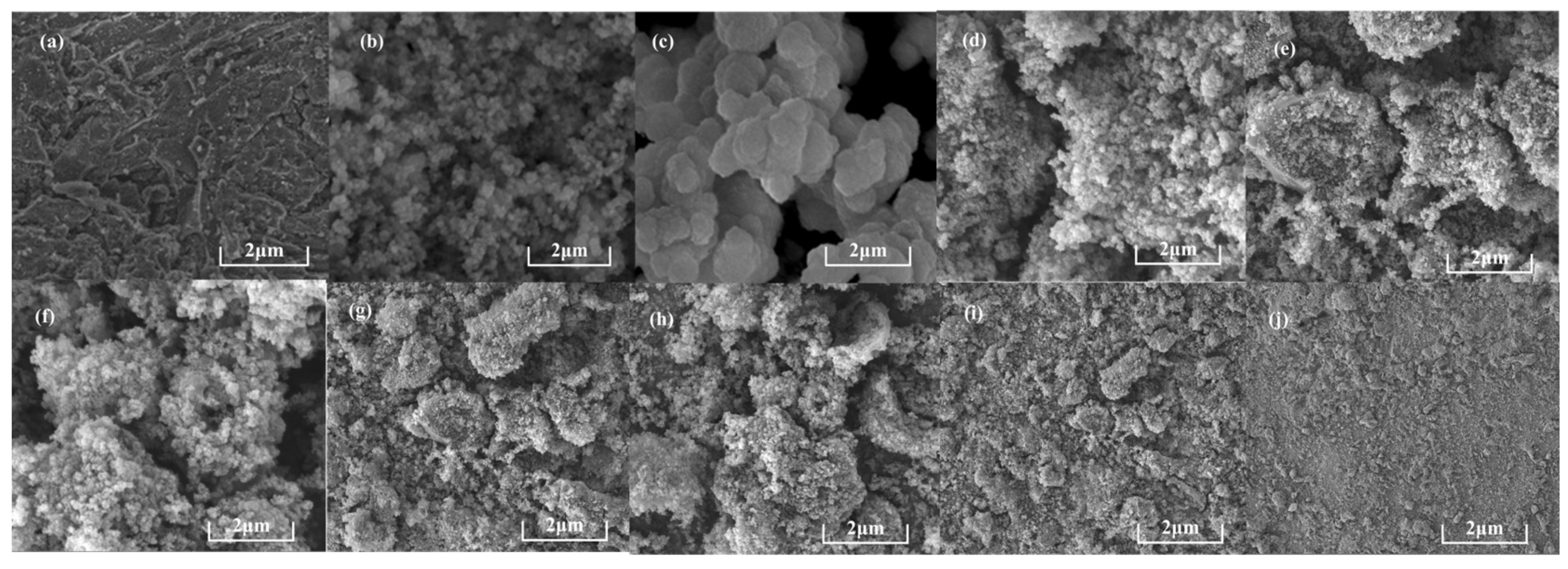 Polymers 16 02508 g004