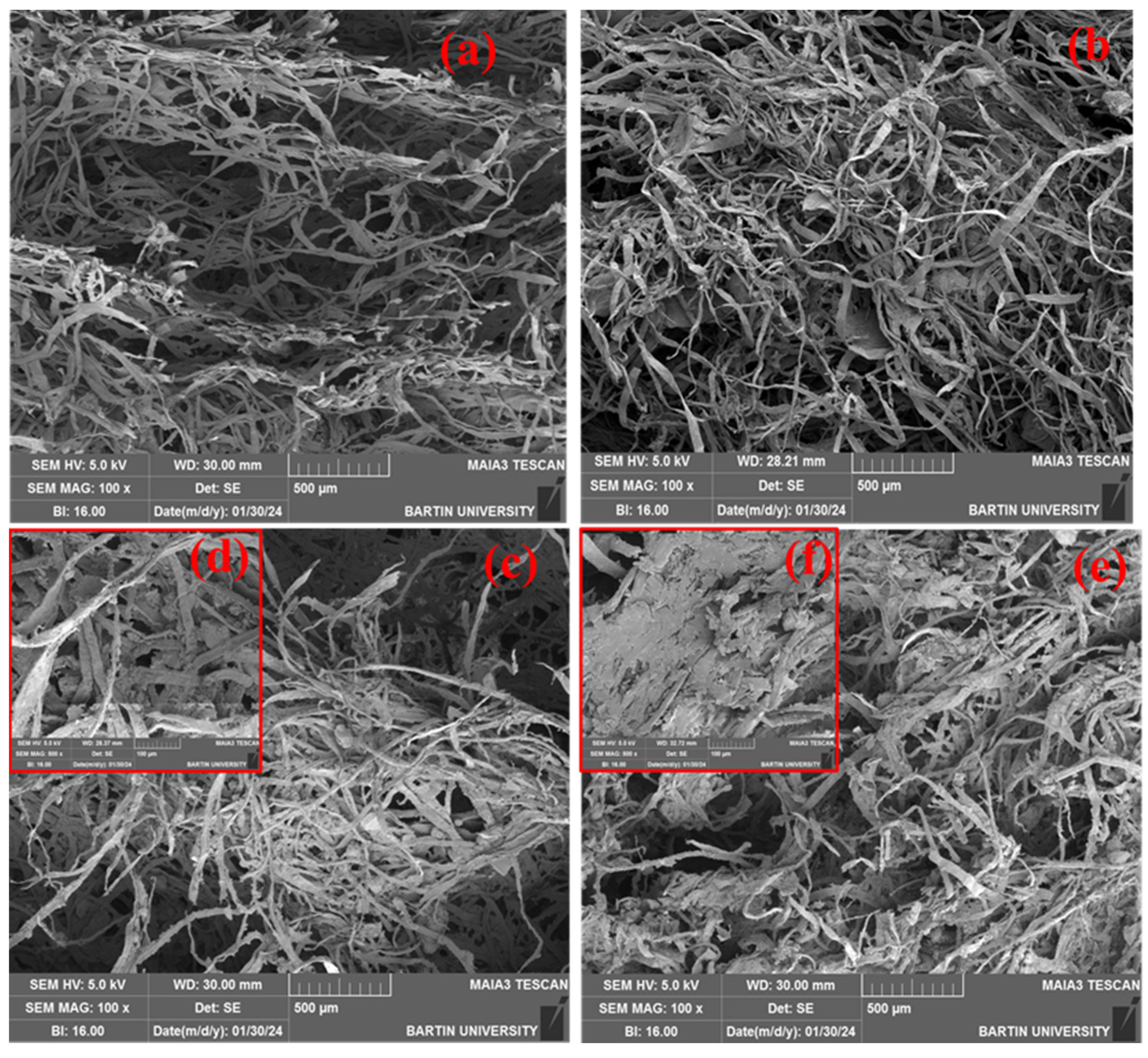 Polymers 16 02511 g002