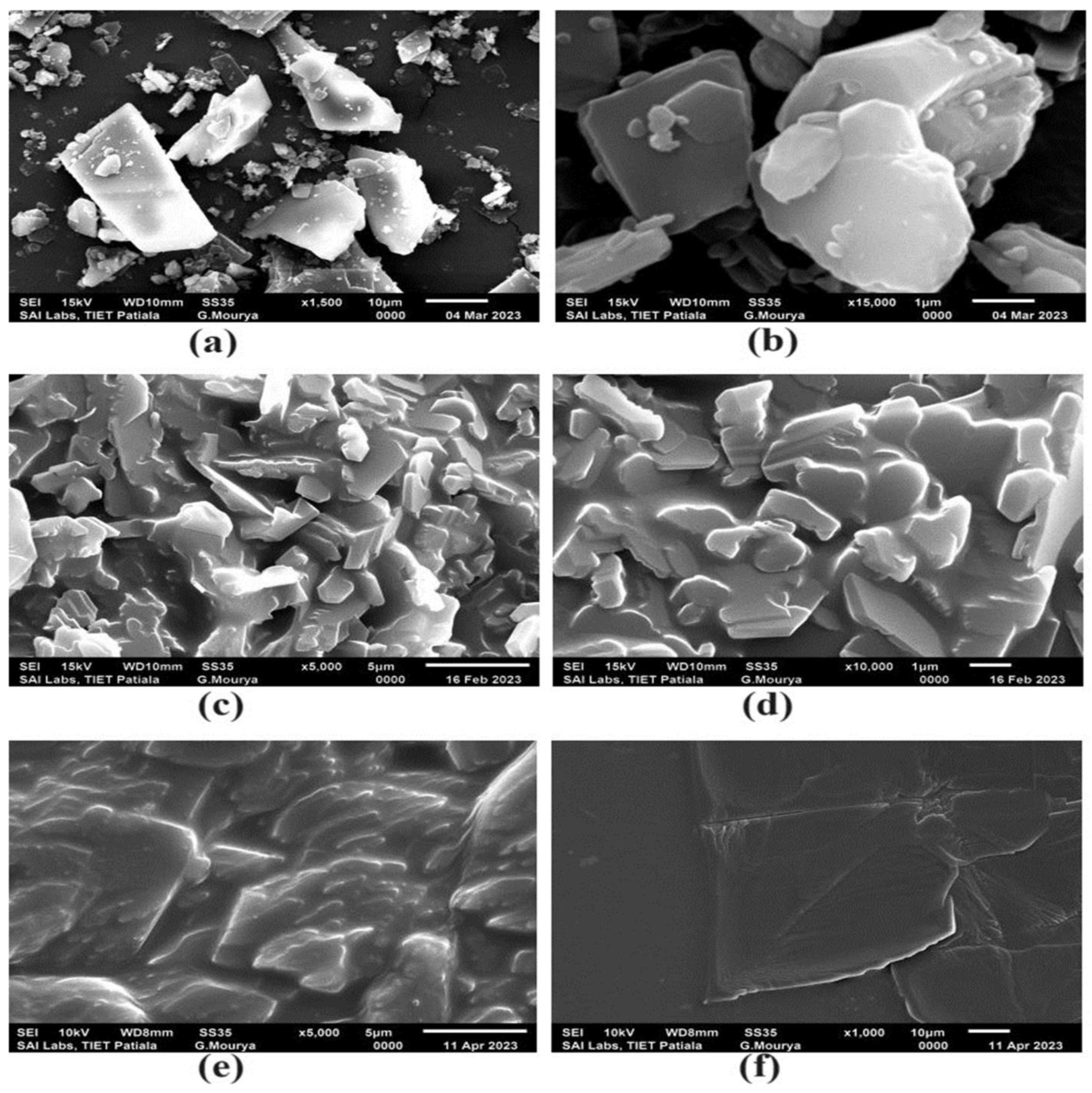Polymers 16 02517 g004 Polymers 16 02517 g004
