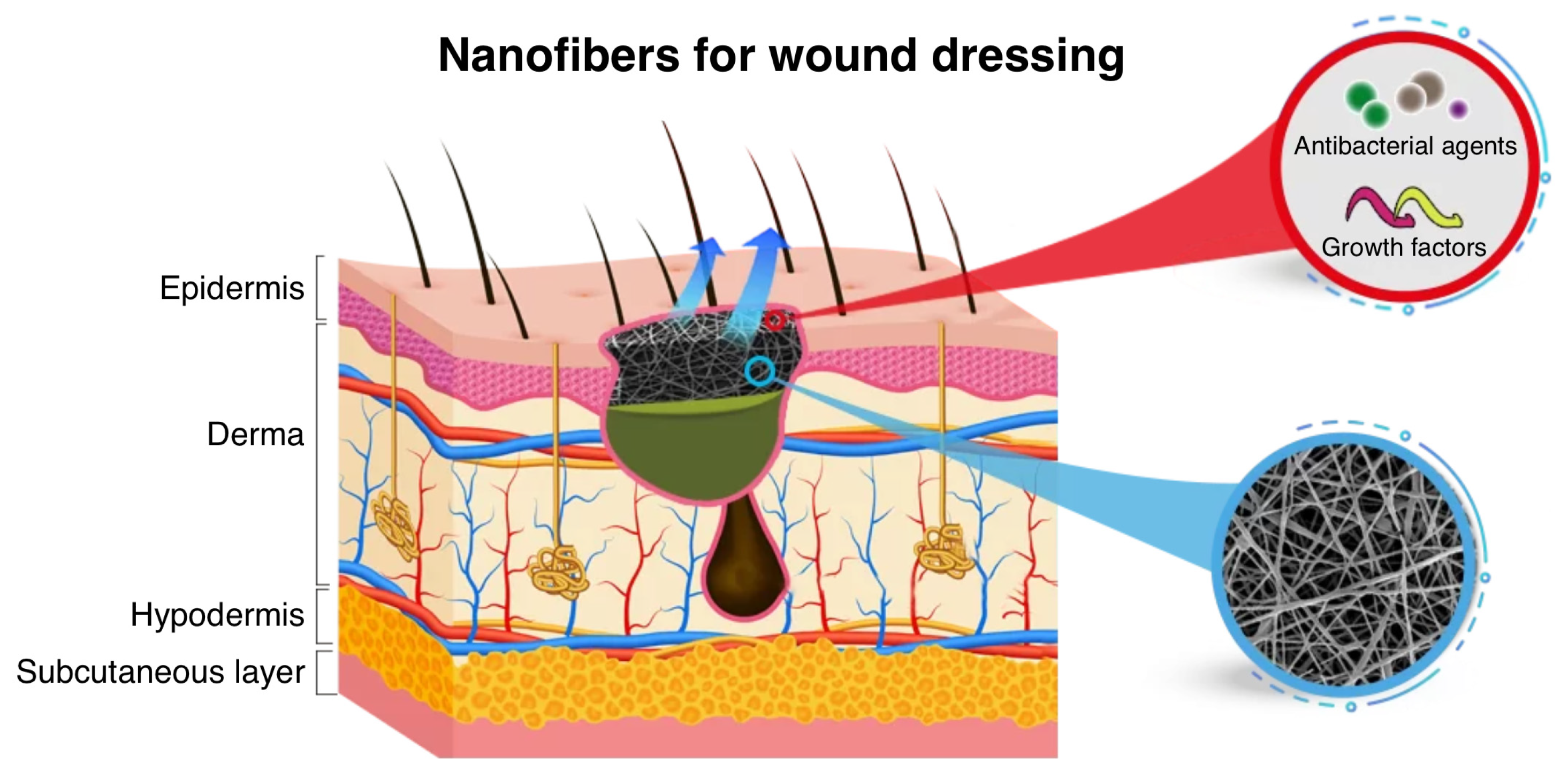 Polymers 16 02526 g005