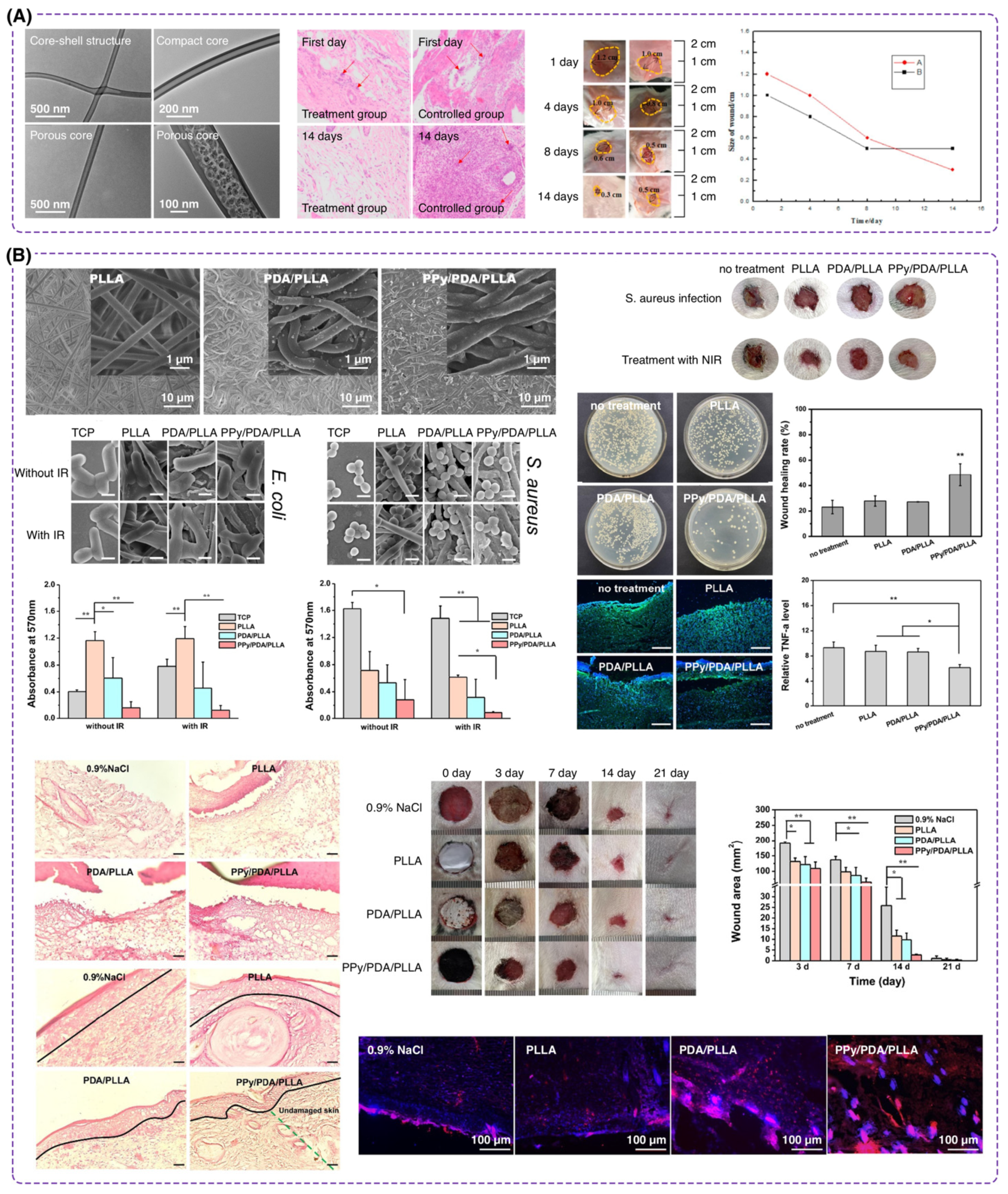 Polymers 16 02526 g006