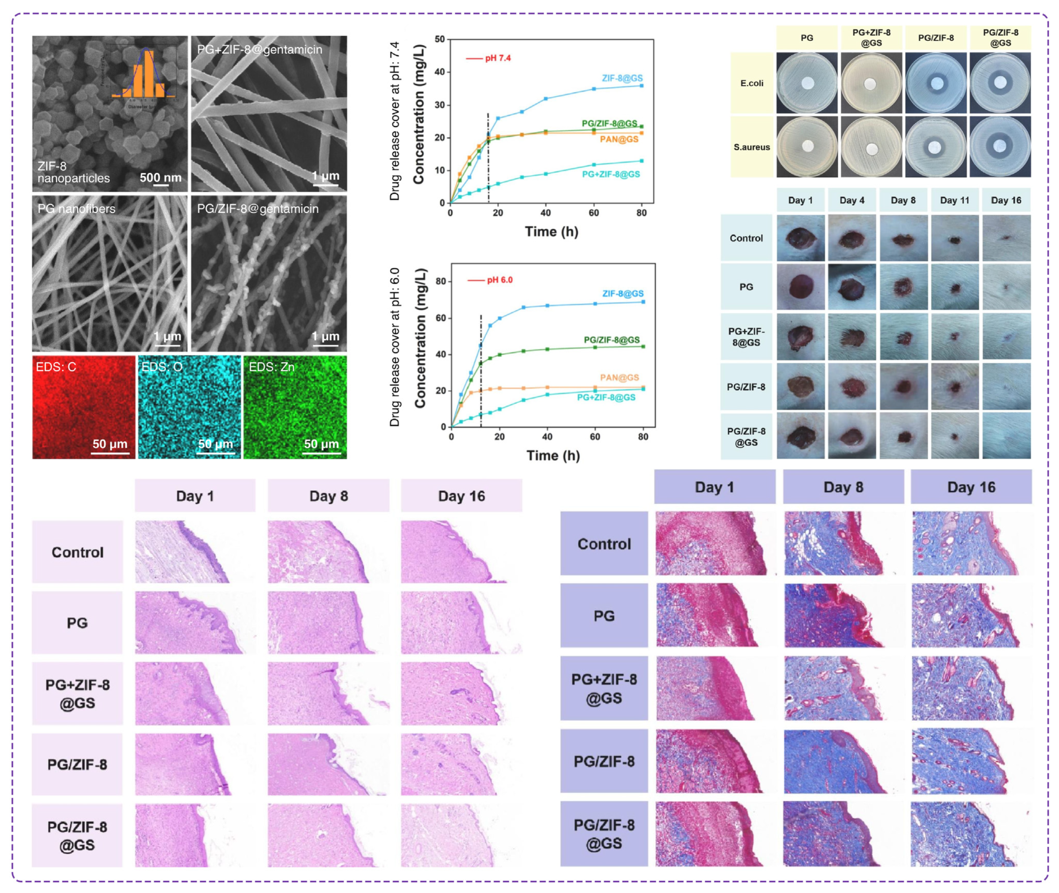 Polymers 16 02526 g009