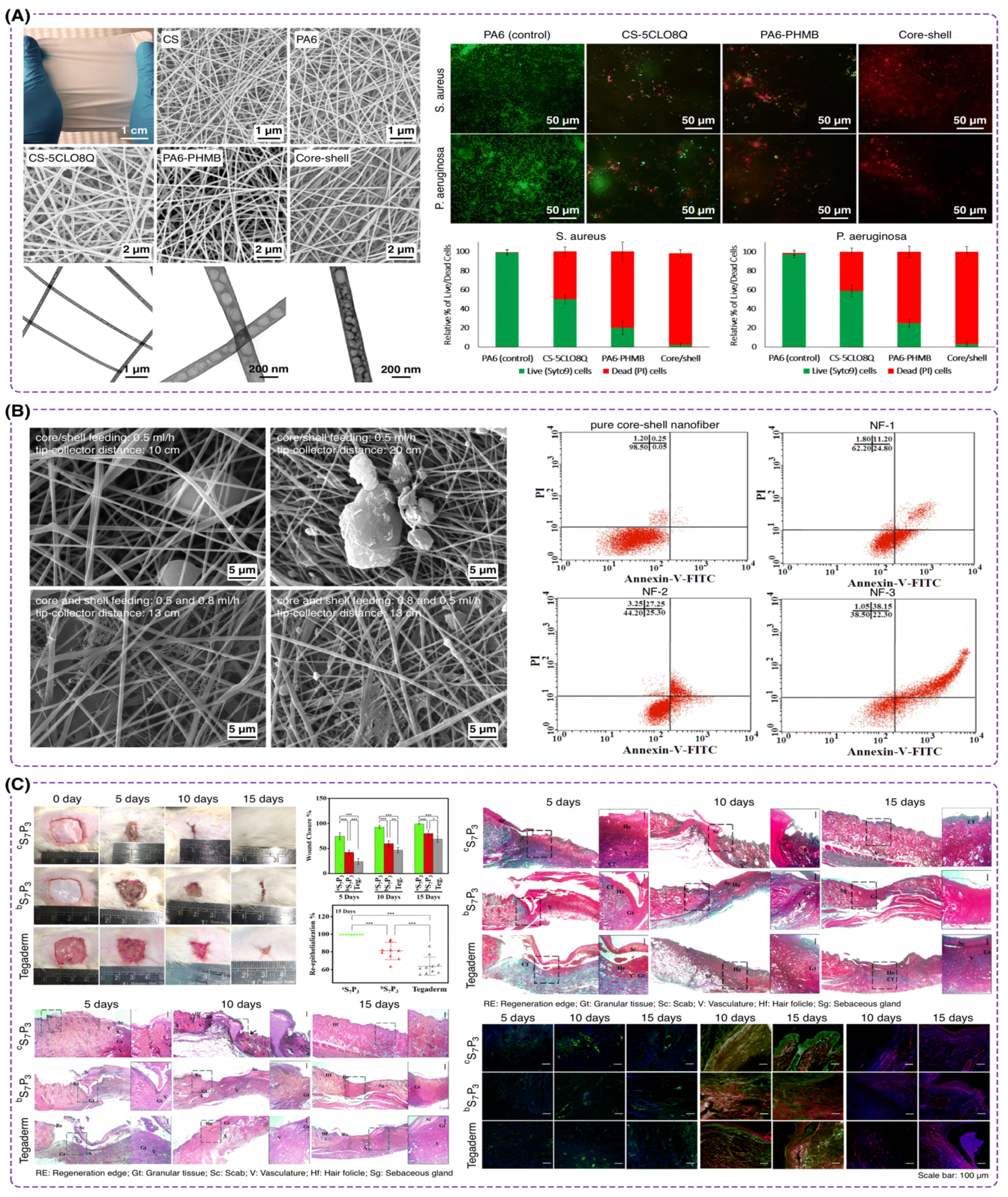 Polymers 16 02526 g010