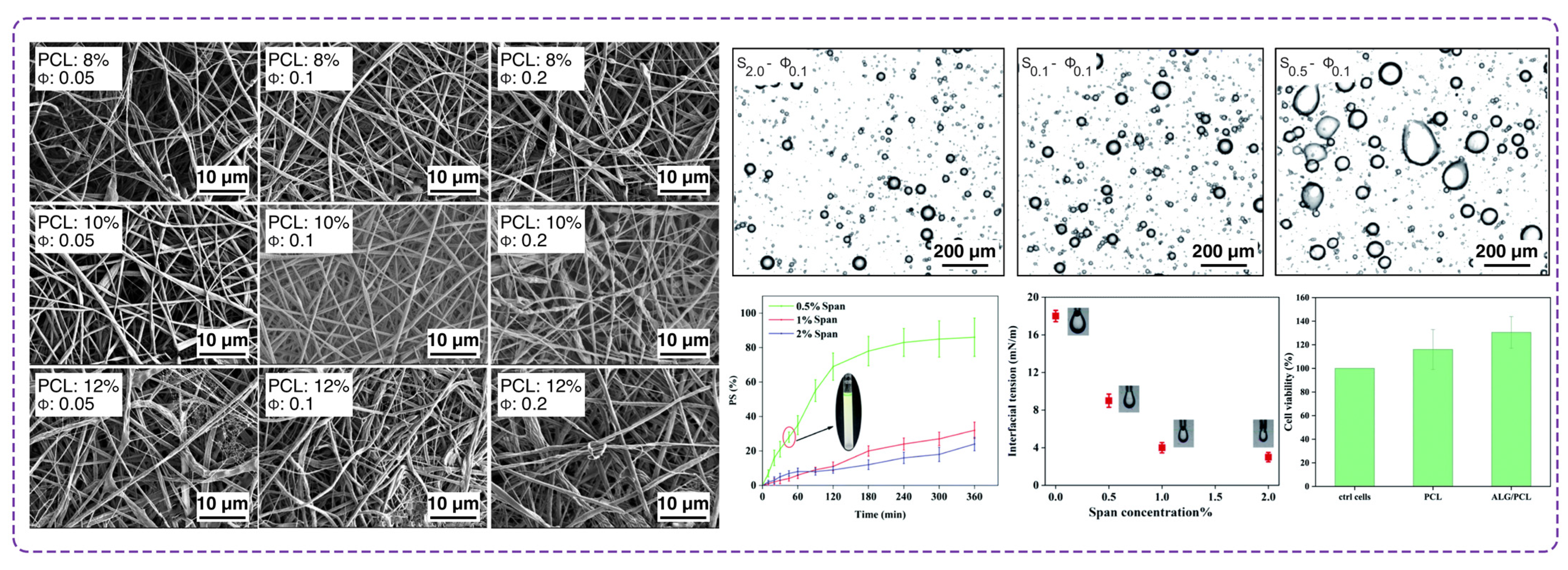 Polymers 16 02526 g011