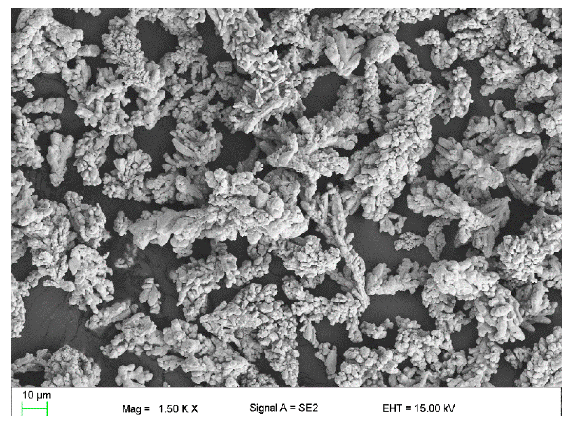 Polymers 16 02527 g002