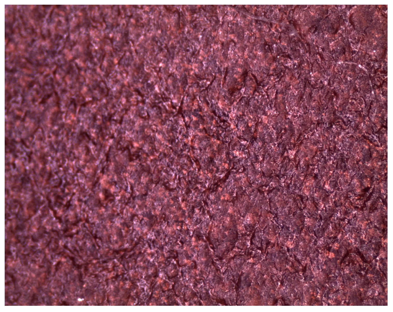 Polymers 16 02527 g006