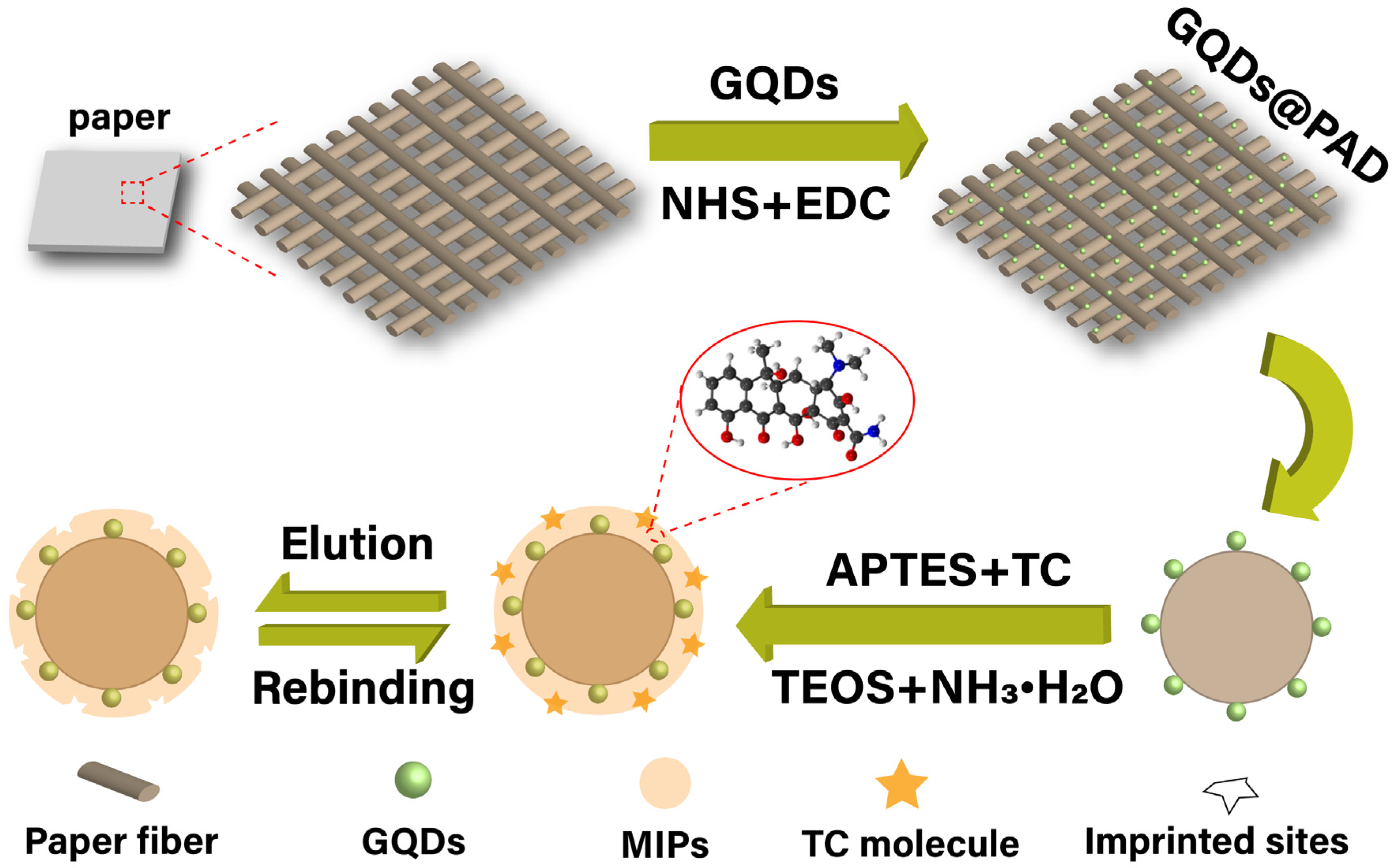 Polymers 16 02540 g001