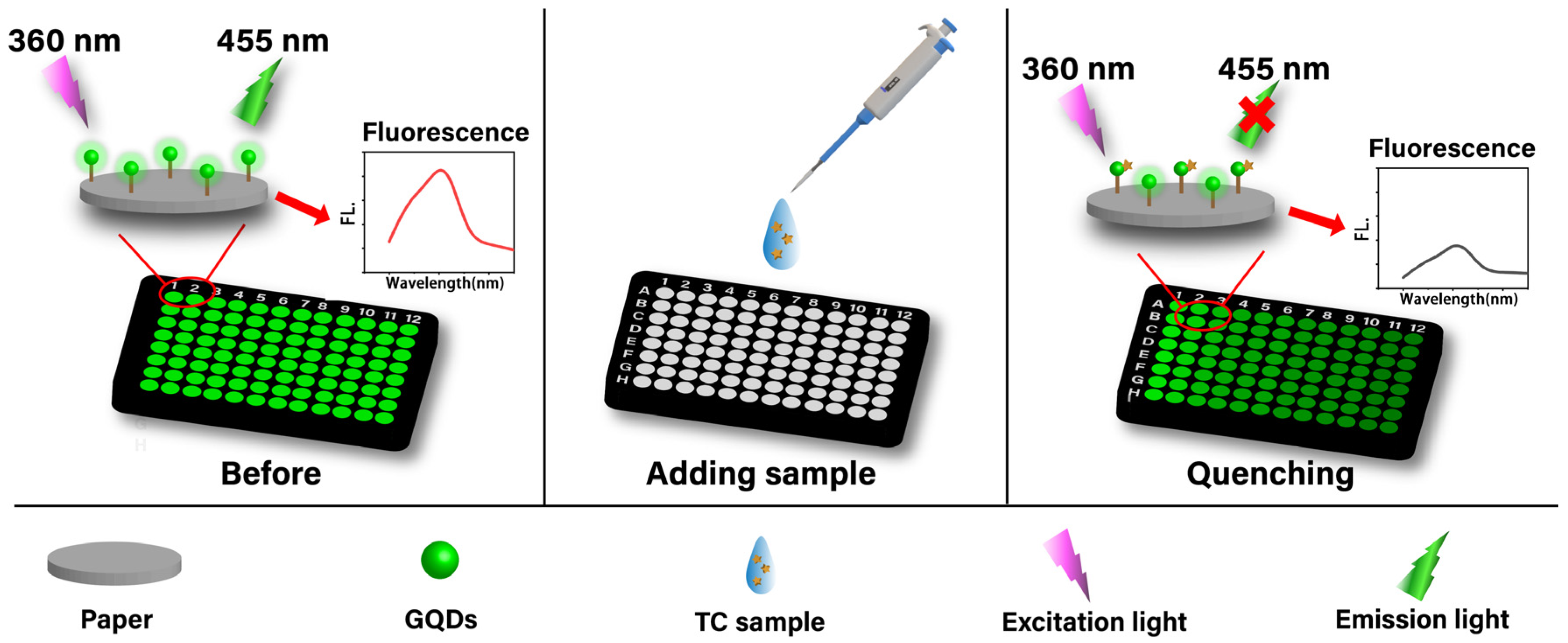 Polymers 16 02540 g002