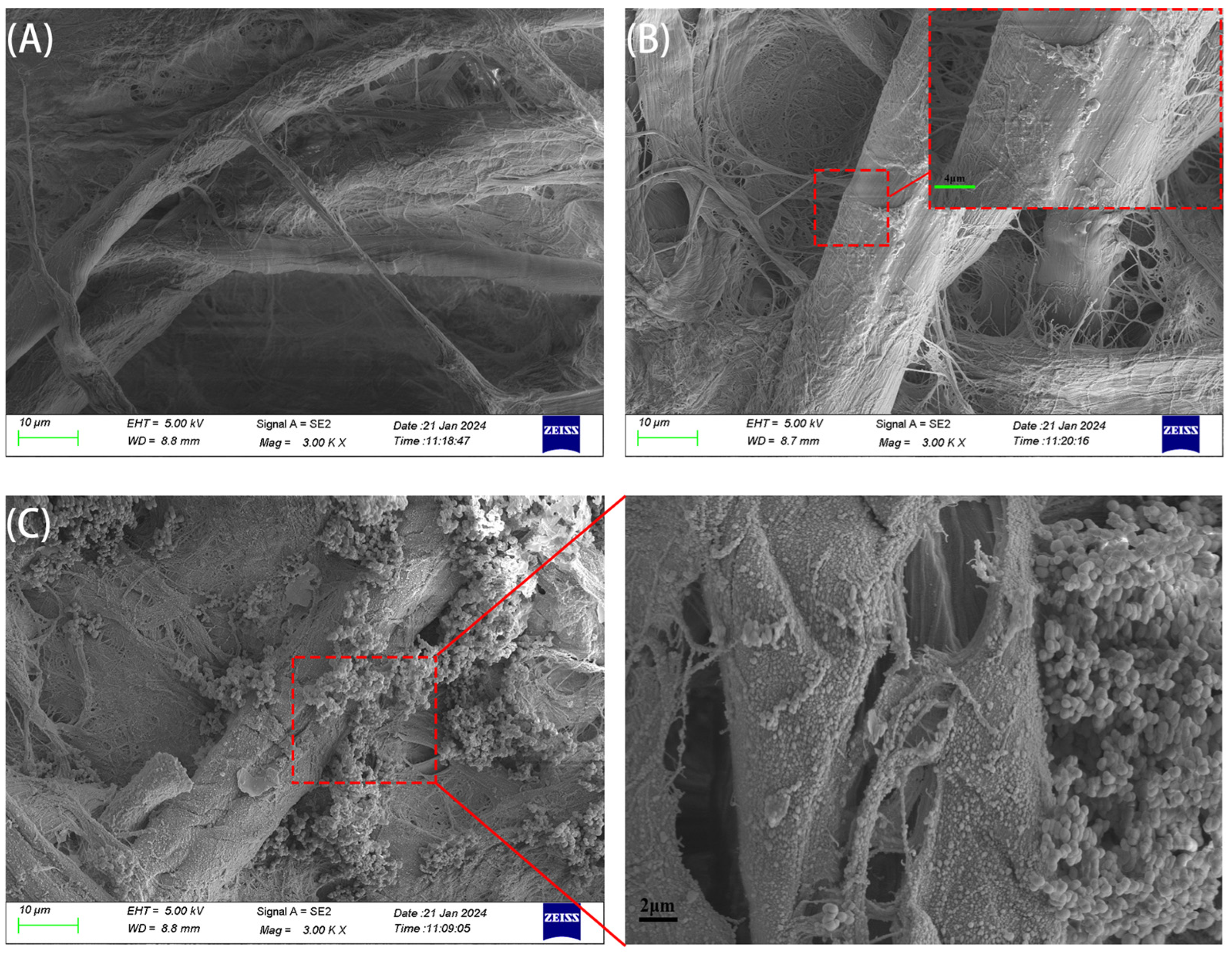 Polymers 16 02540 g005
