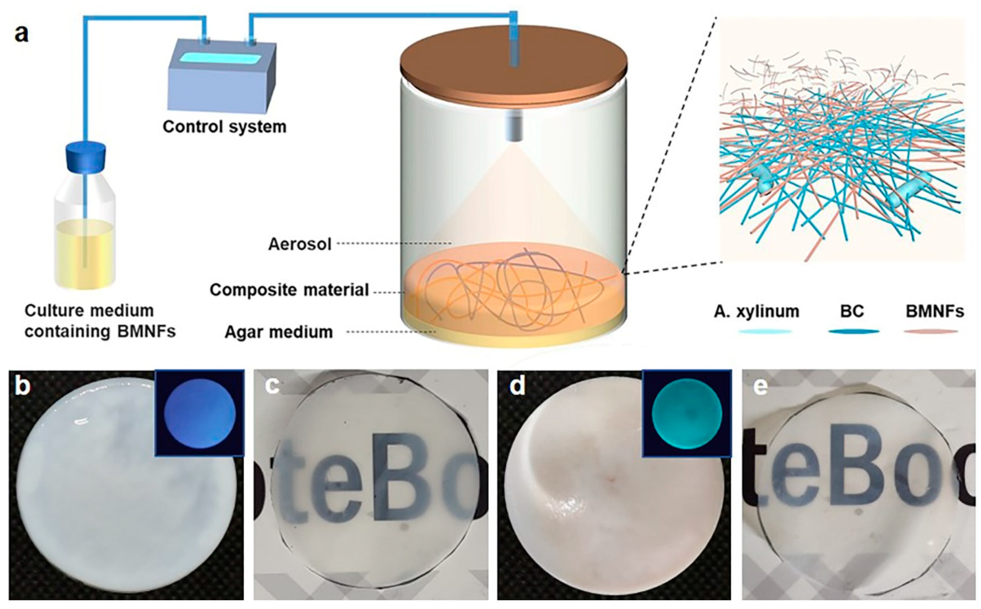 Polymers 16 02541 g001