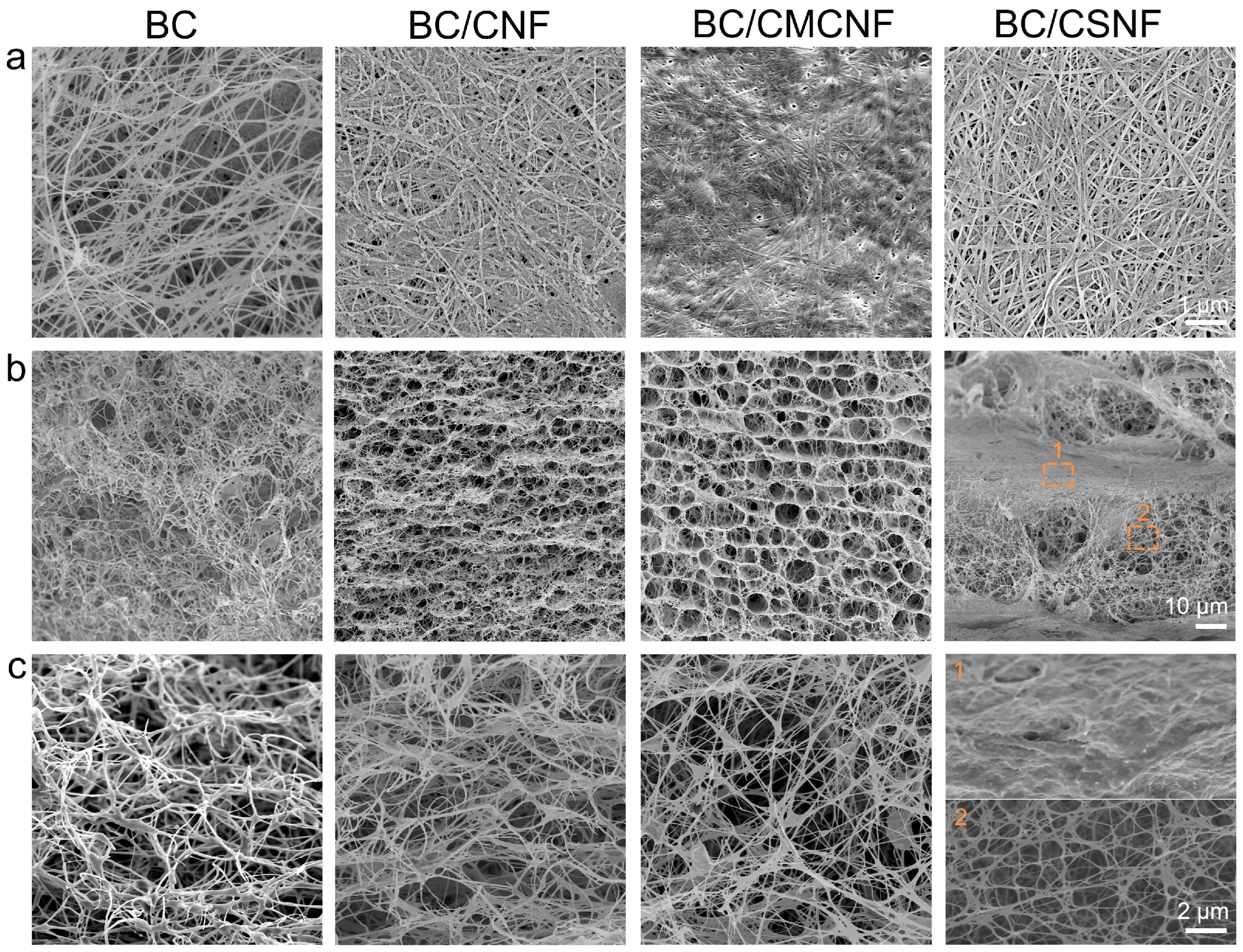 Polymers 16 02541 g002
