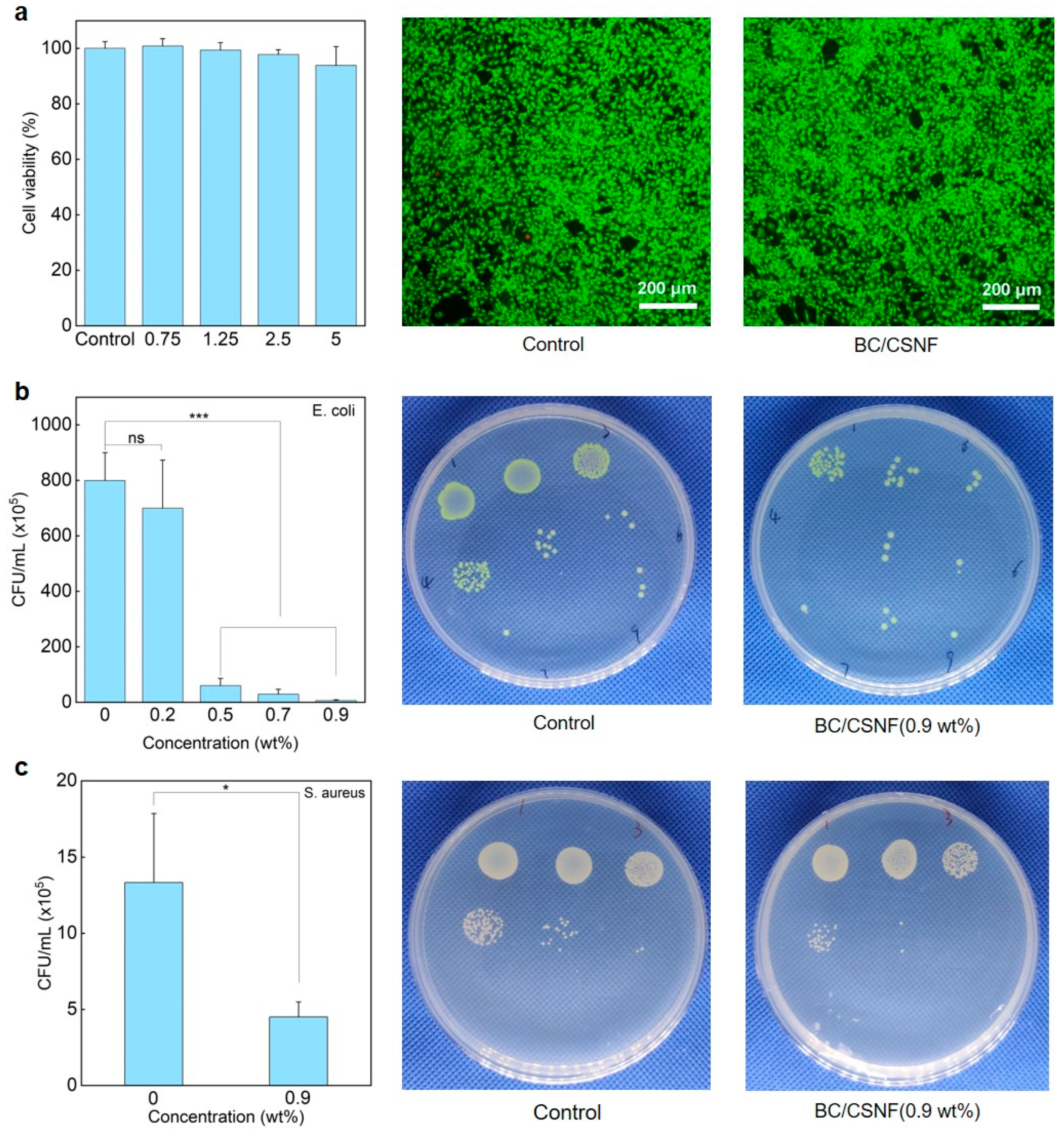 Polymers 16 02541 g005