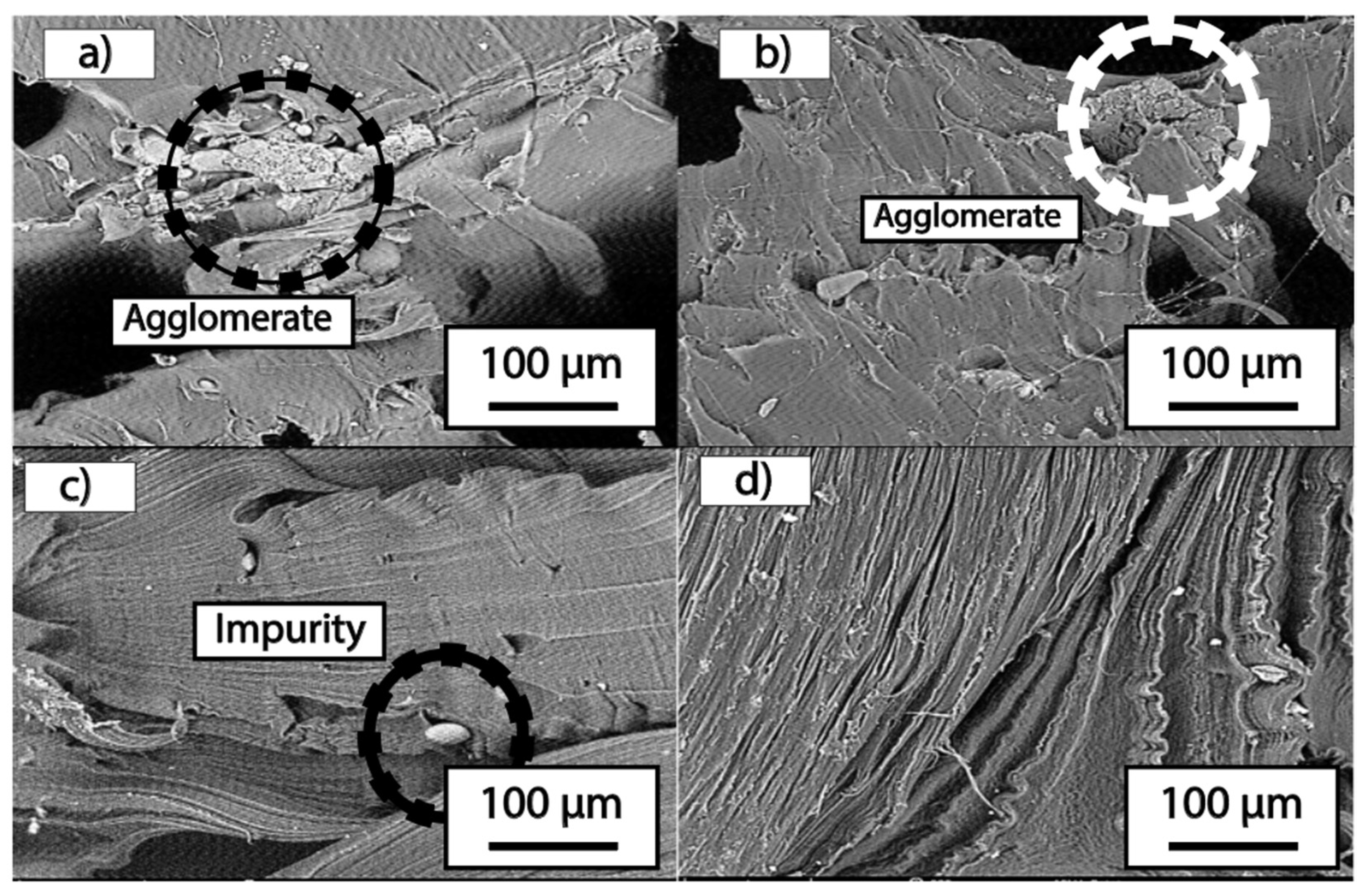 Polymers 16 02557 g006