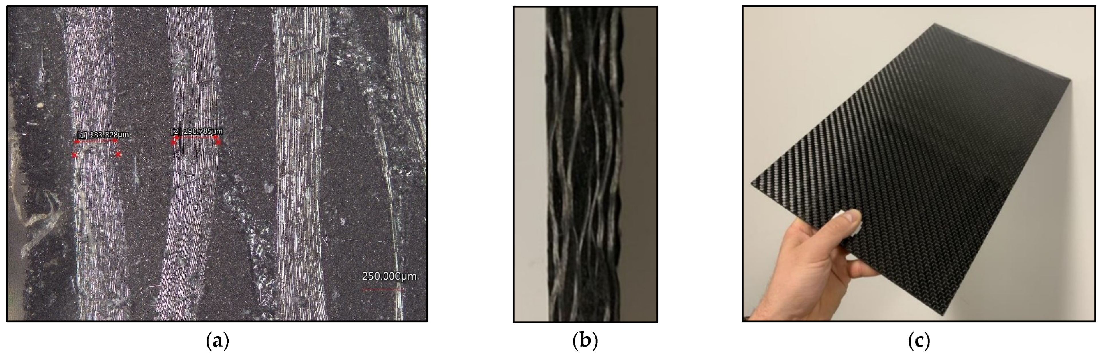 Polymers 16 02559 g002