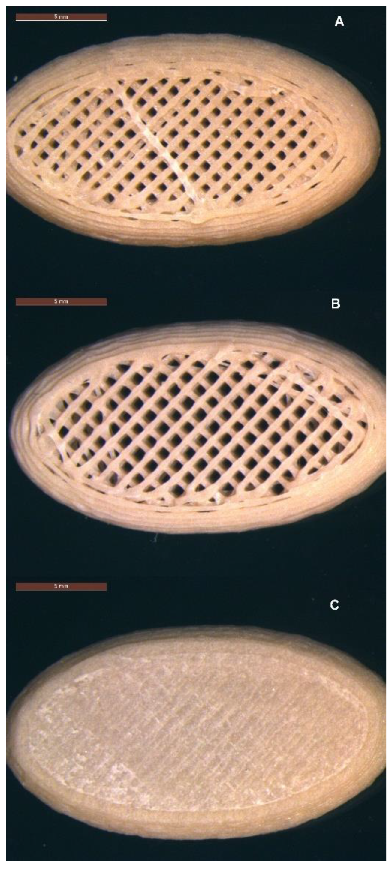 Polymers 16 02566 g004
