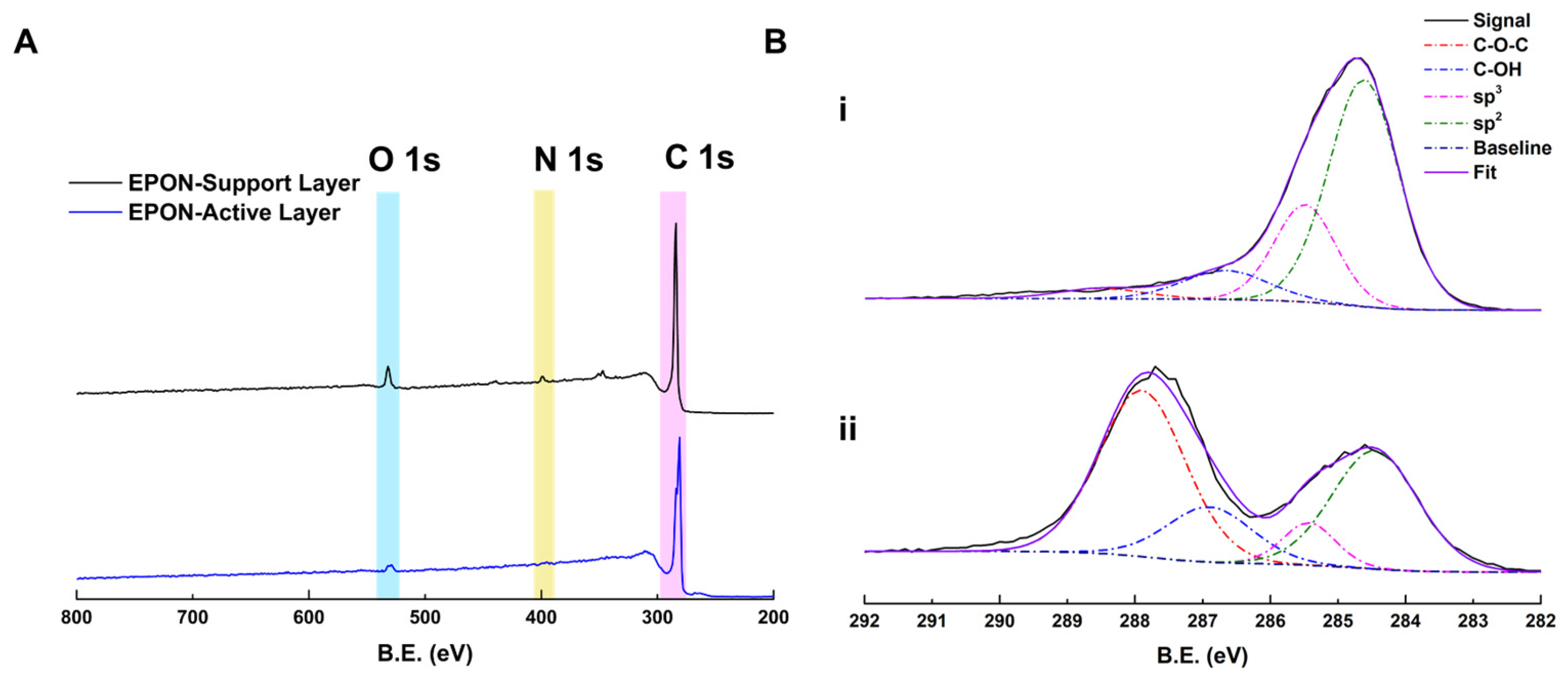 Polymers 16 02569 g008