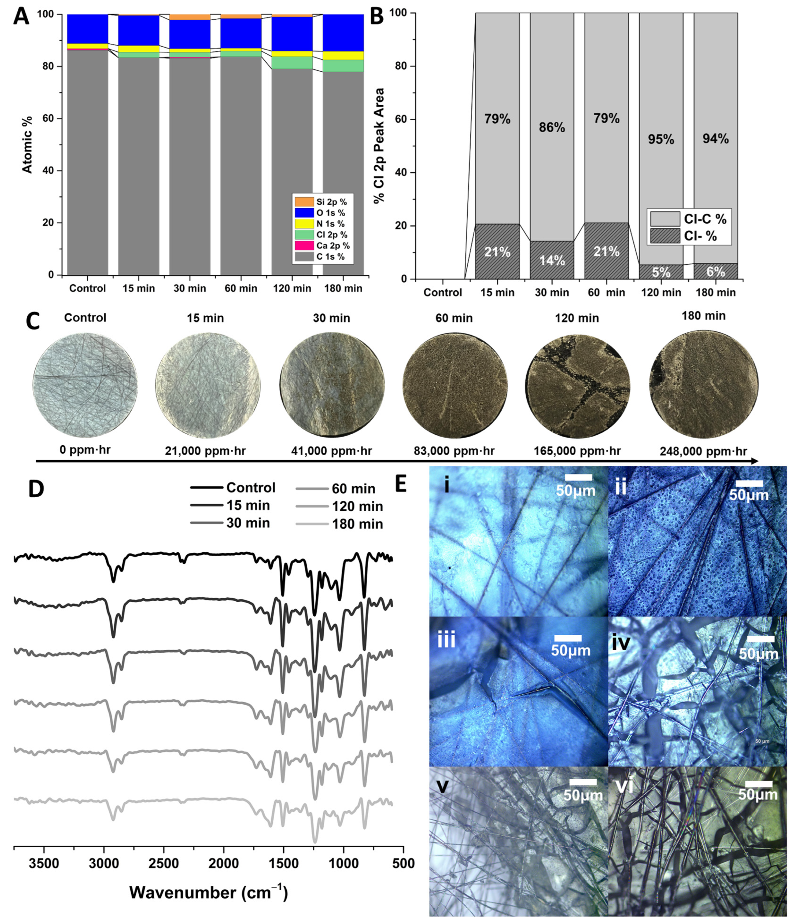 Polymers 16 02569 g010
