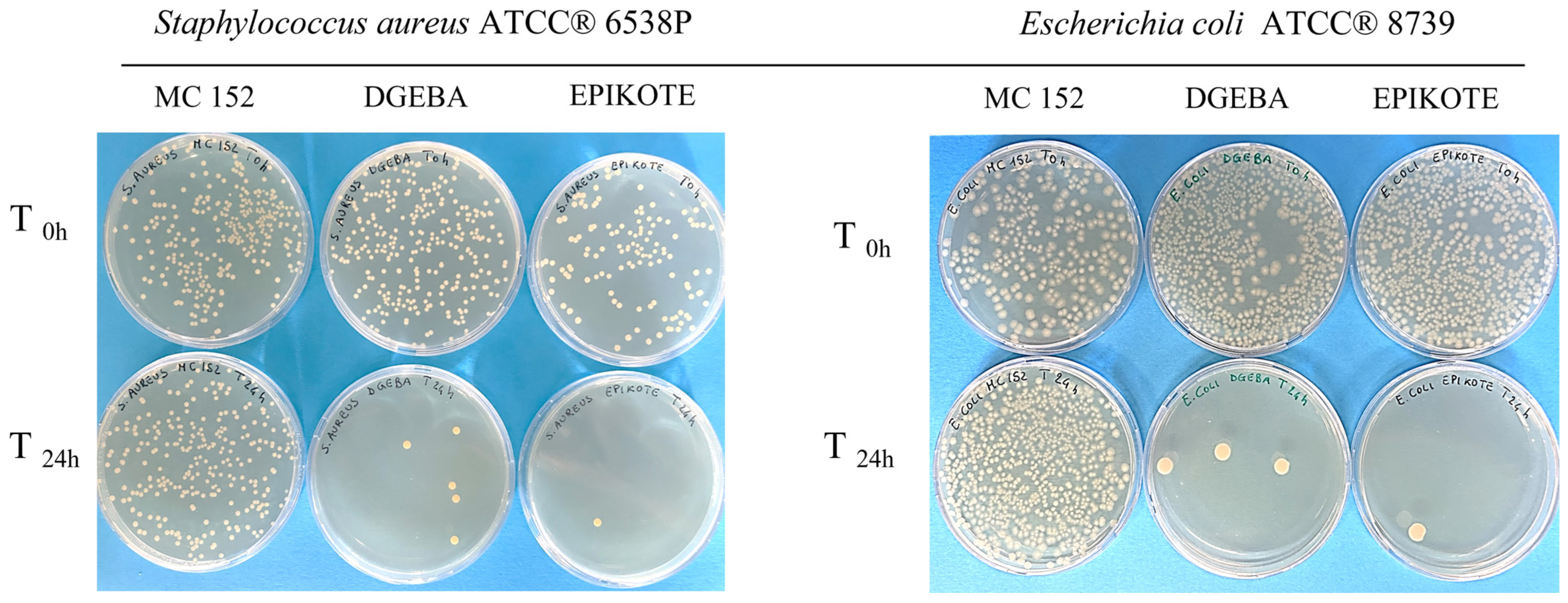Polymers 16 02571 g010