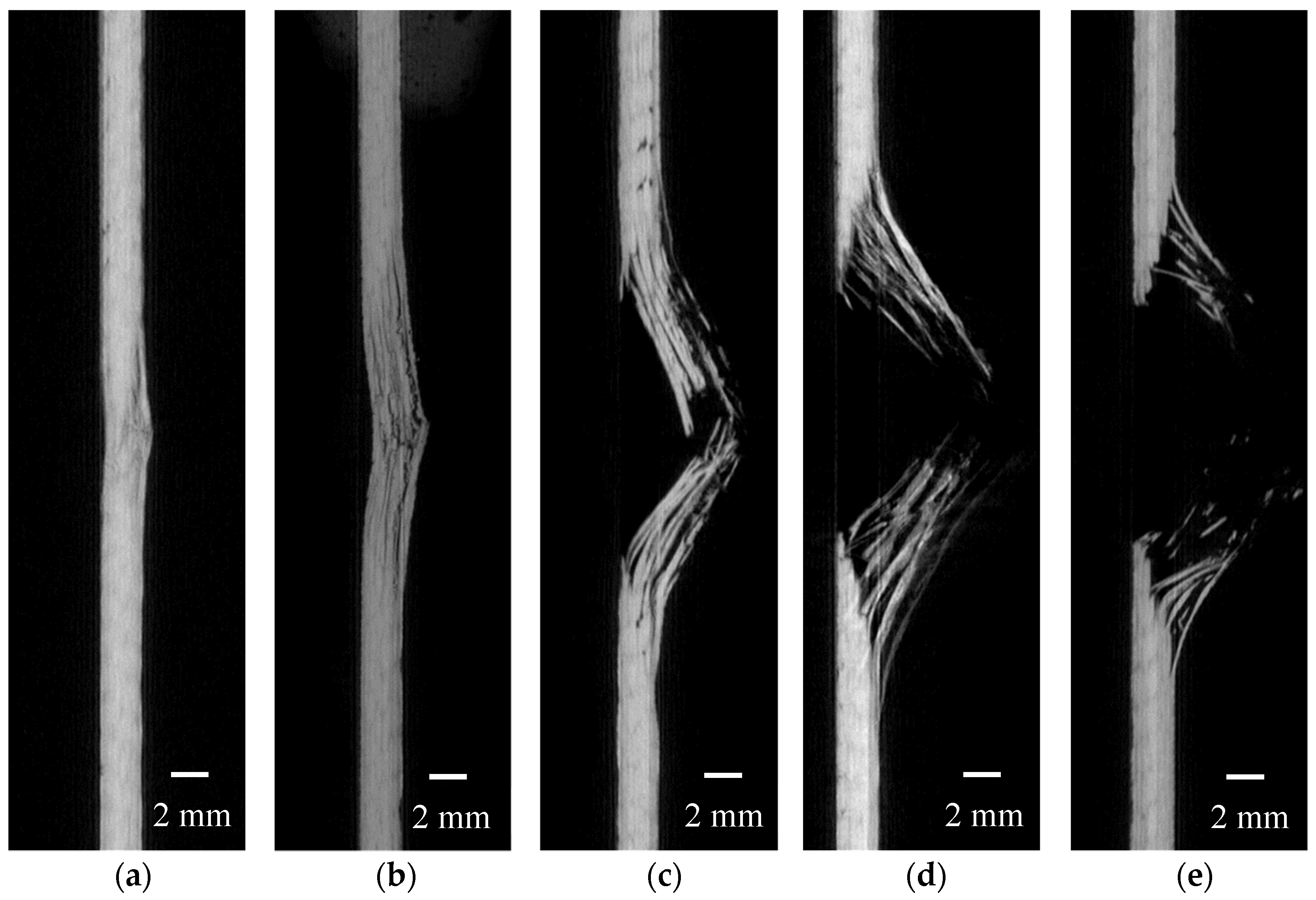 Polymers 16 02581 g007