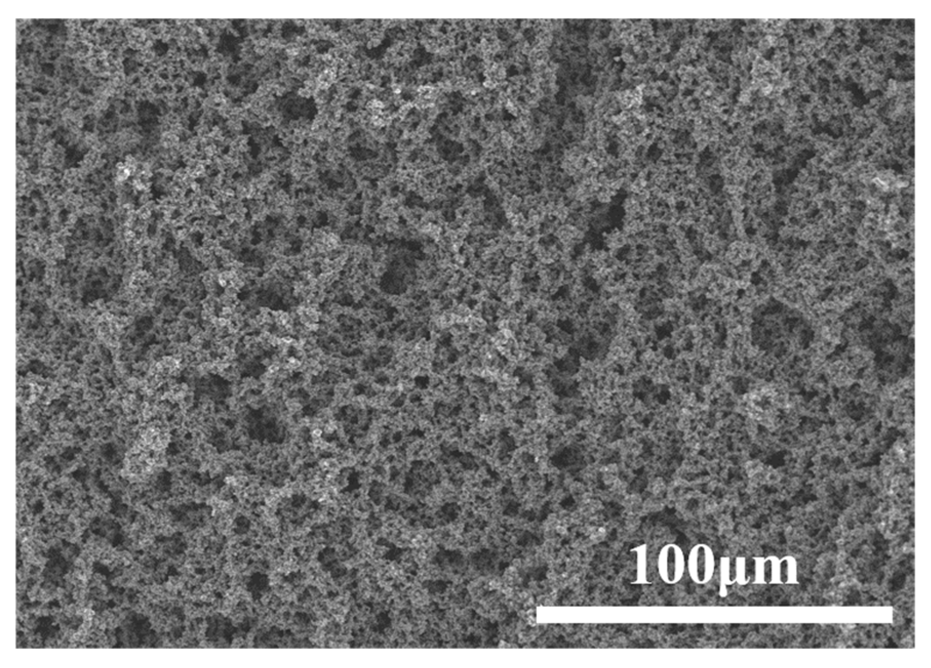 Polymers 16 02592 g011