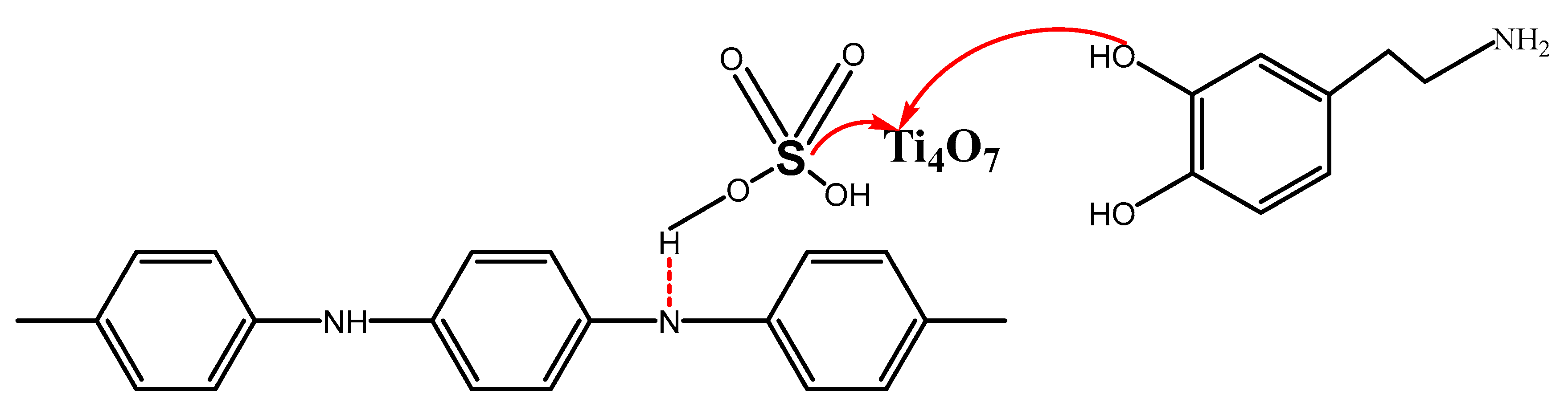 Polymers 16 02592 g012