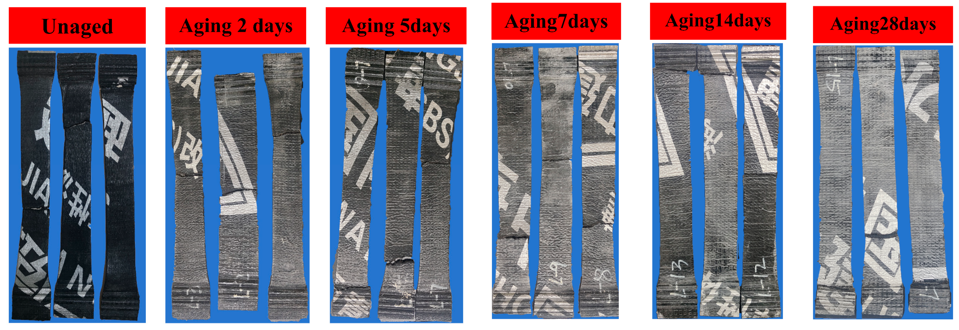 Polymers 16 02593 g012