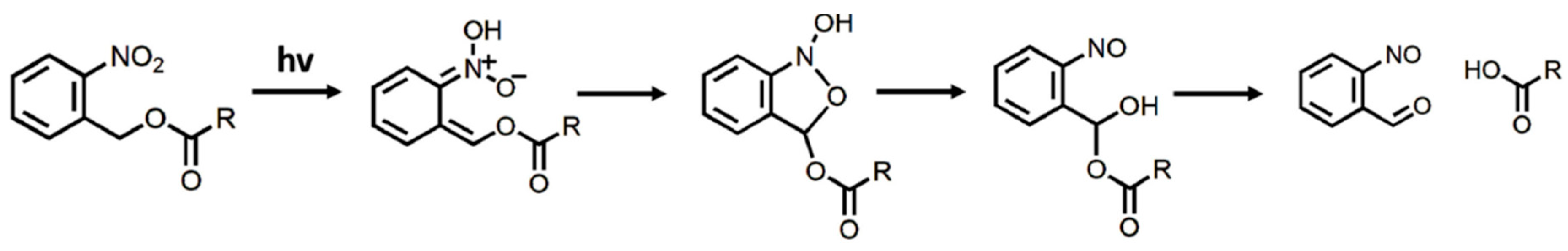 Polymers 16 02599 g002 Polymers 16 02599 g002