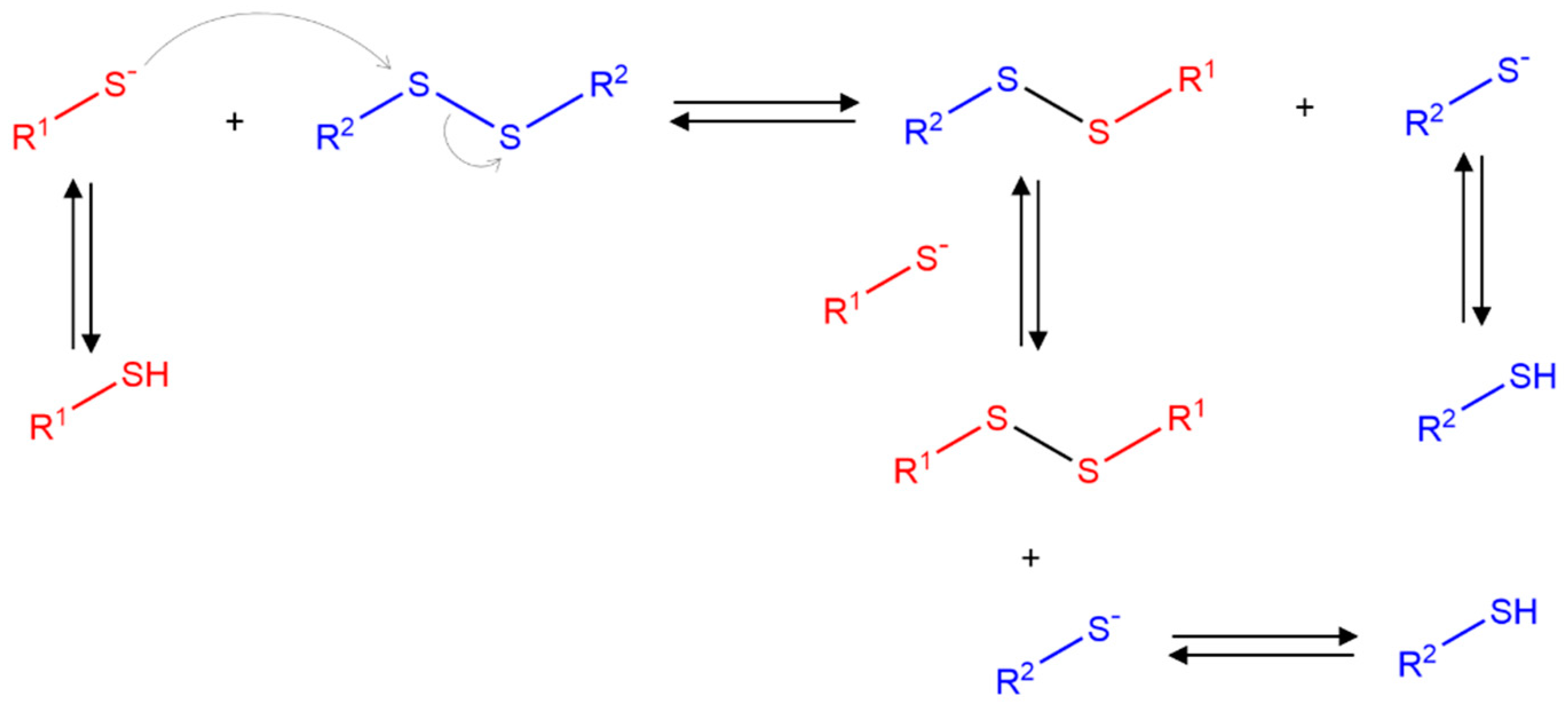 Polymers 16 02599 g003 Polymers 16 02599 g003