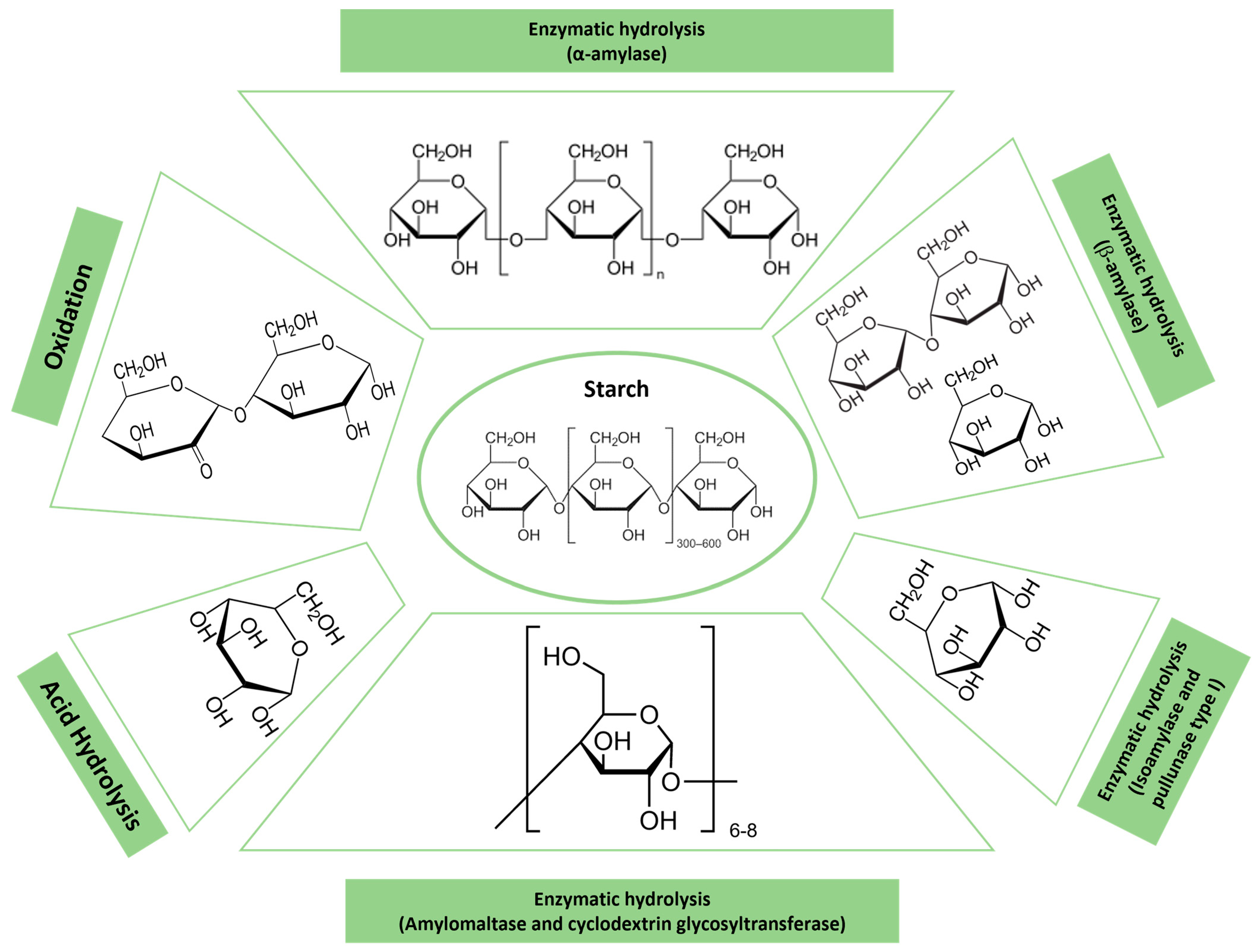 Polymers 16 02599 g005 Polymers 16 02599 g005