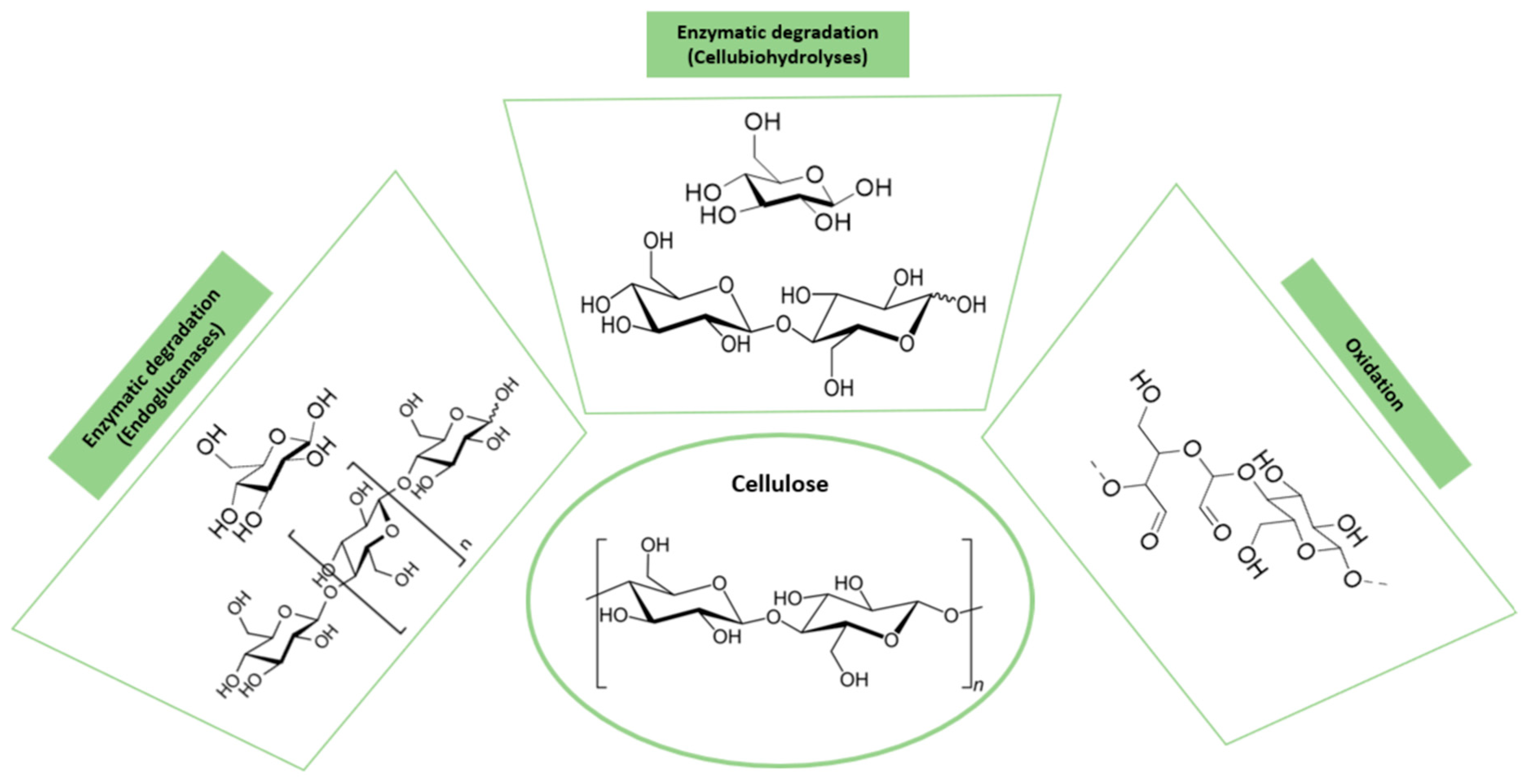 Polymers 16 02599 g006 Polymers 16 02599 g006