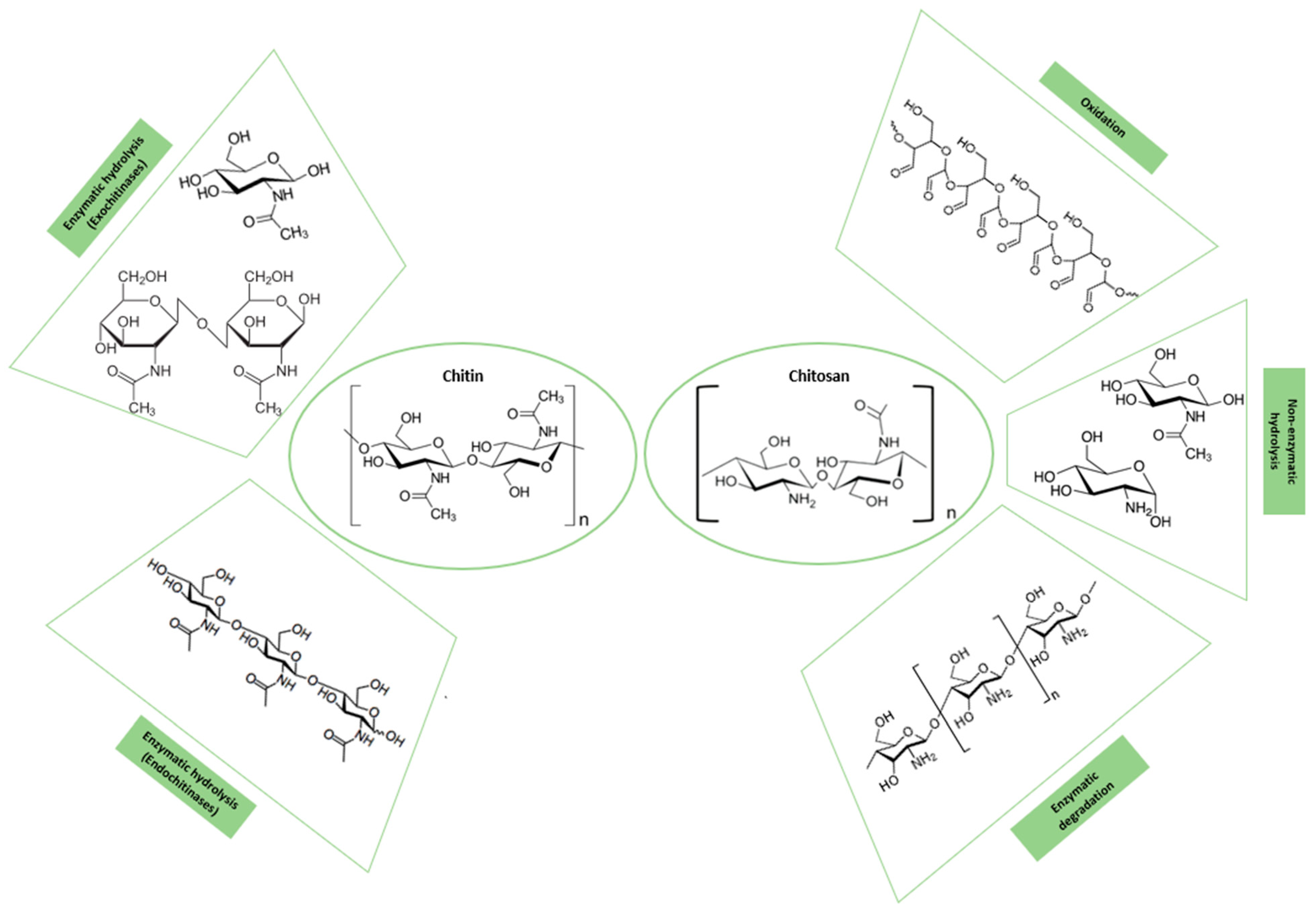 Polymers 16 02599 g007 Polymers 16 02599 g007