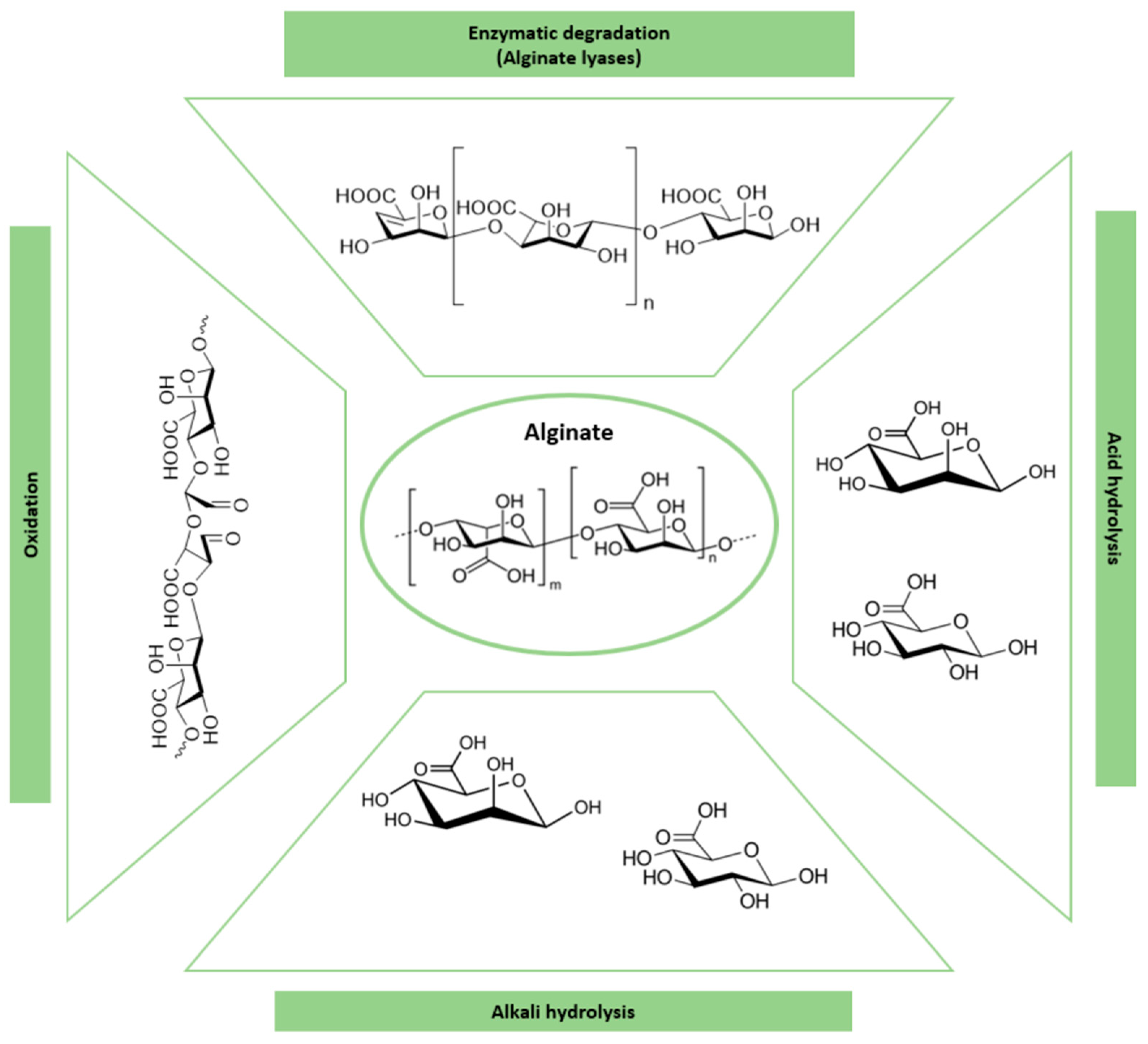 Polymers 16 02599 g008 Polymers 16 02599 g008