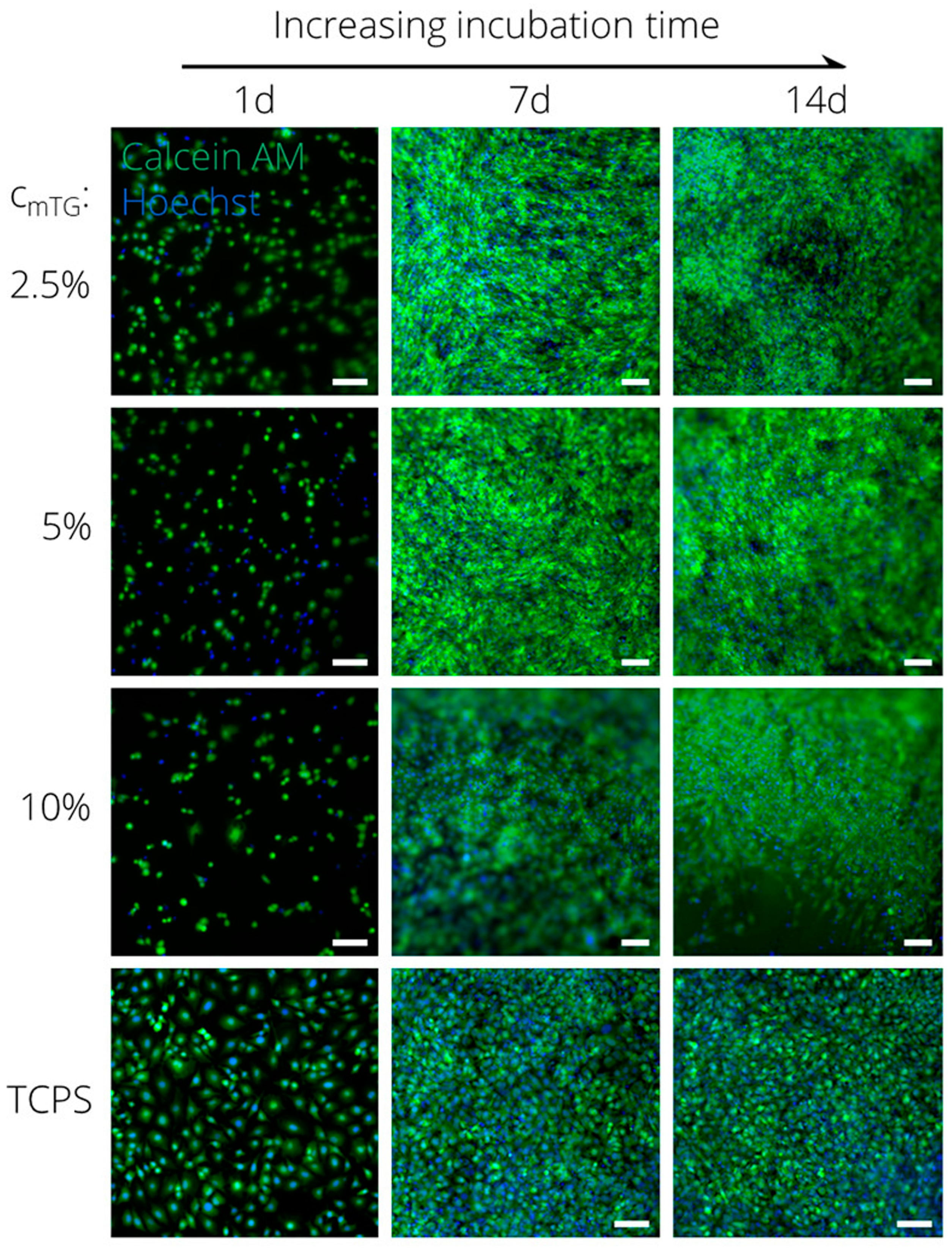 Polymers 16 02599 g012 Polymers 16 02599 g012