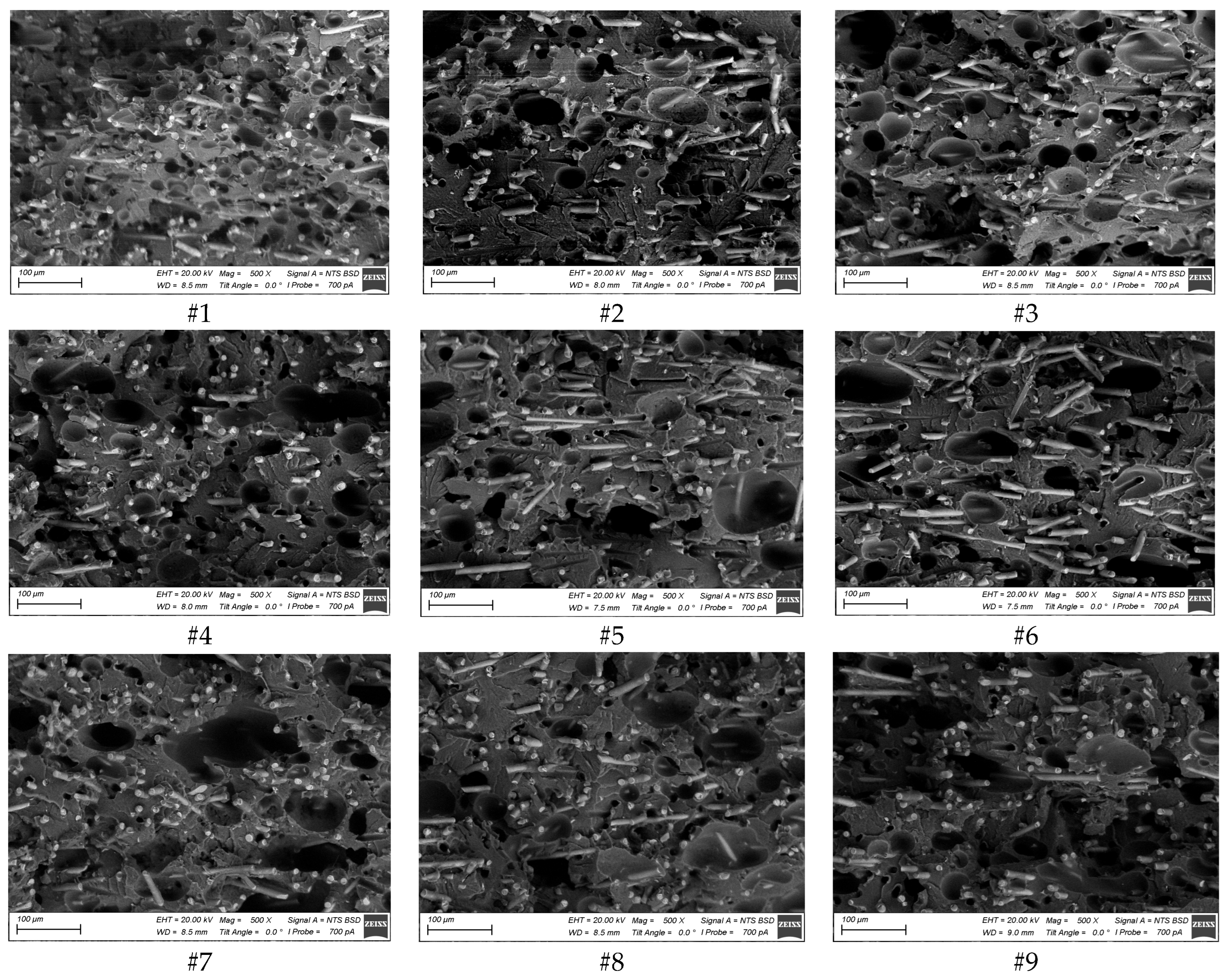 Polymers 16 02601 g002