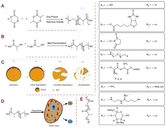 Polymers 16 02606 g001