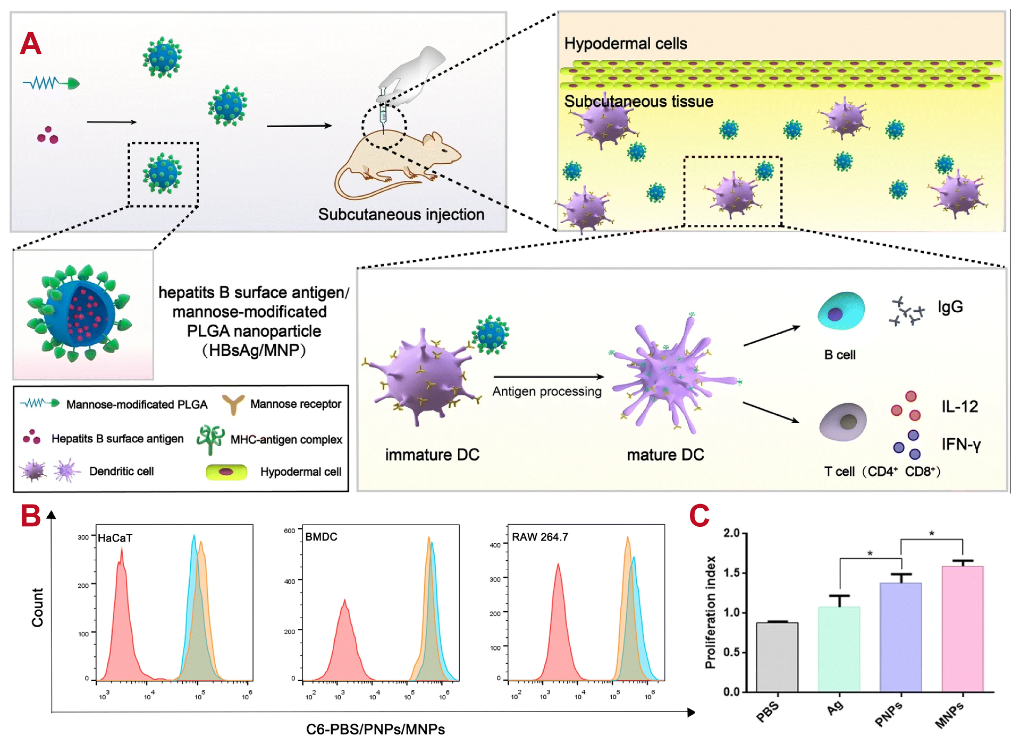 Polymers 16 02606 g003