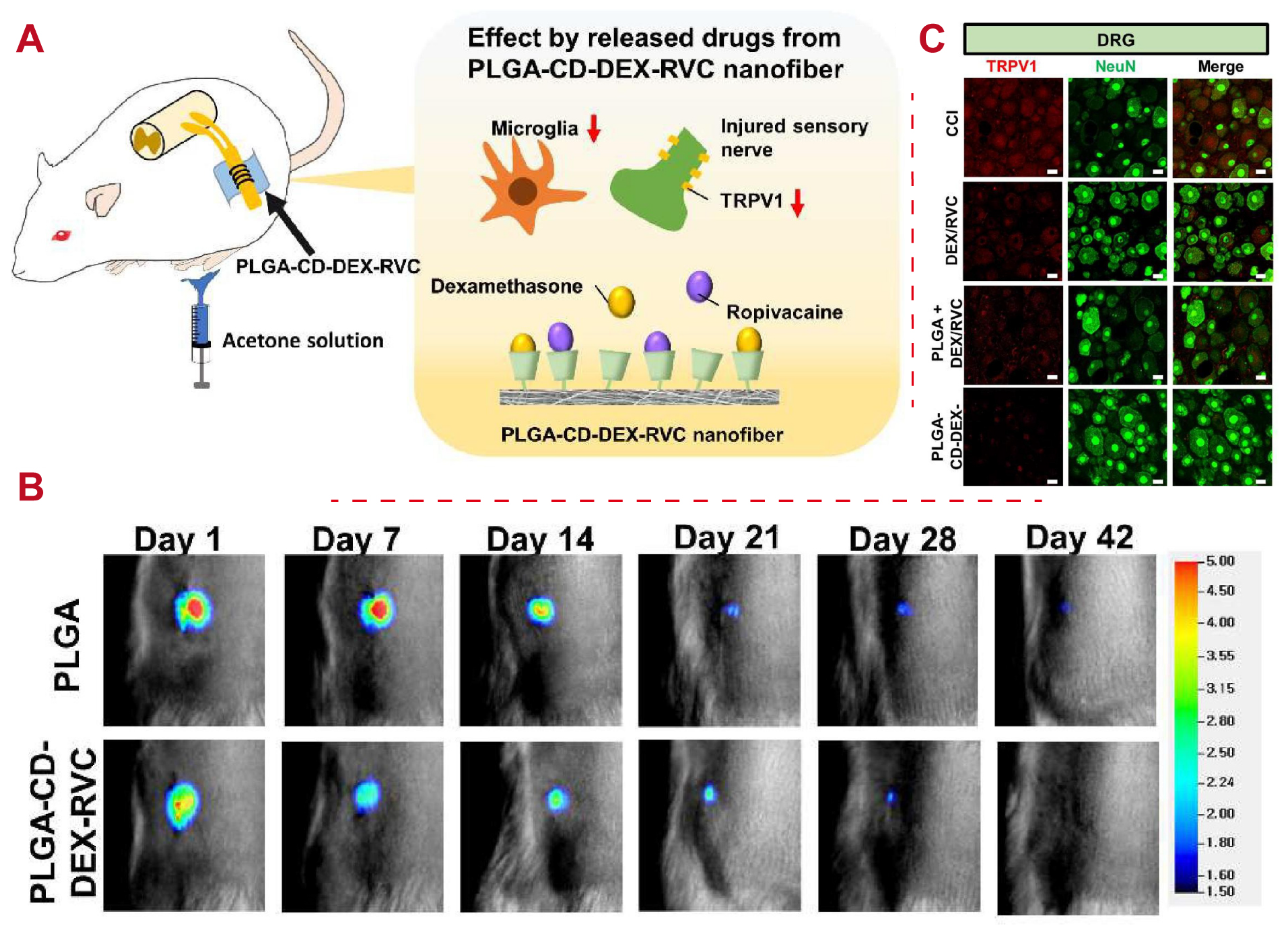 Polymers 16 02606 g004