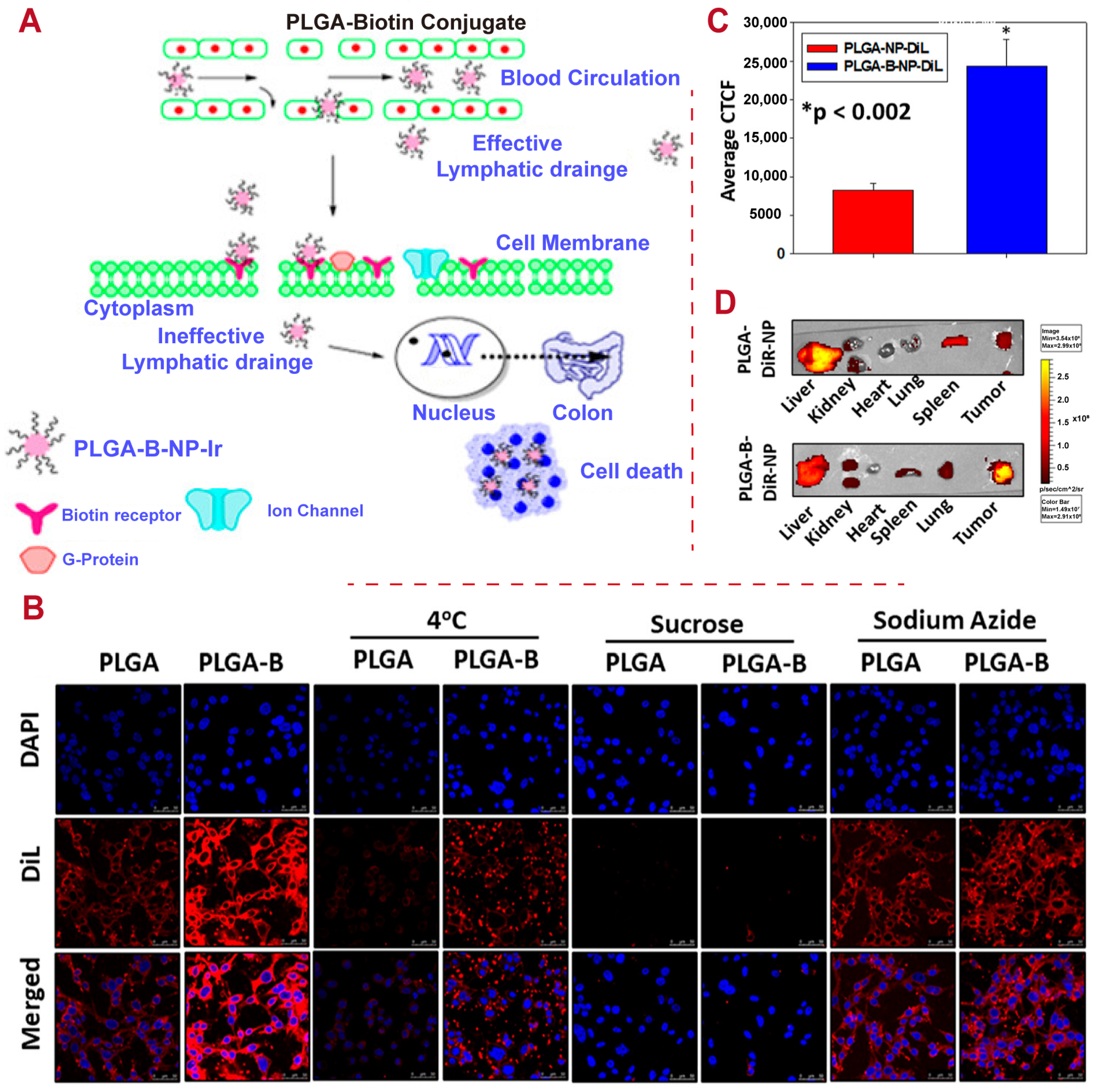 Polymers 16 02606 g005