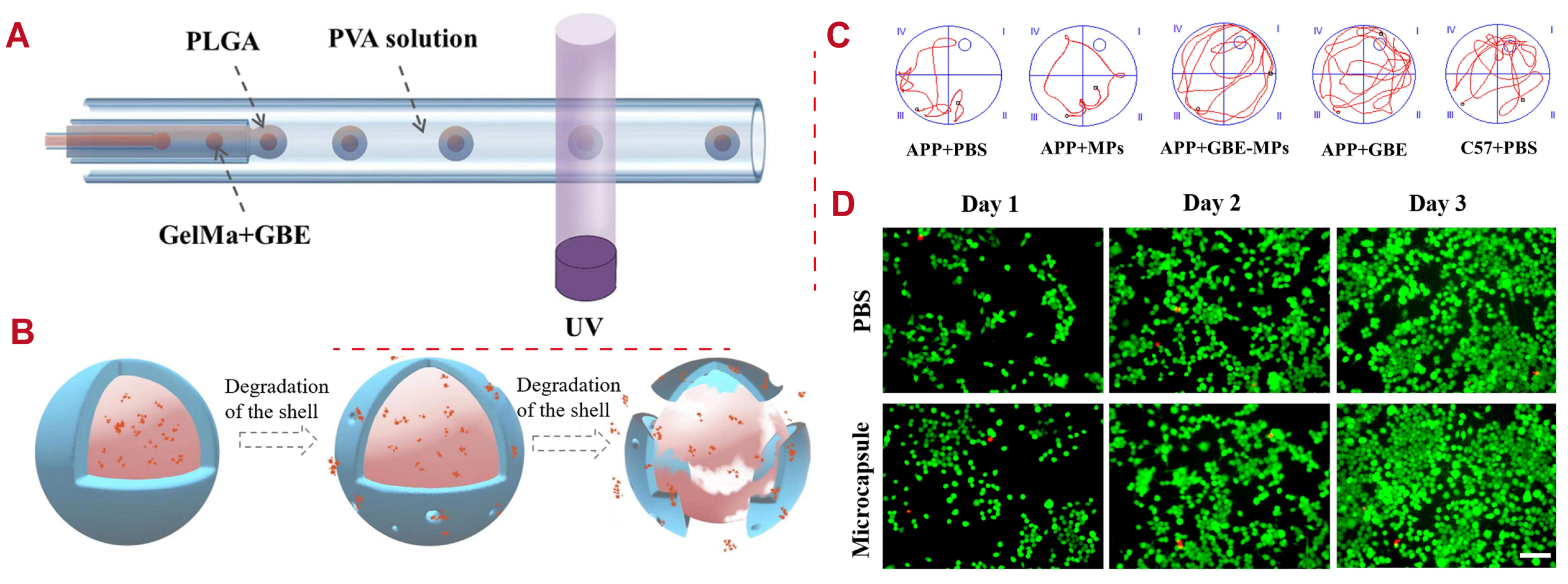 Polymers 16 02606 g006