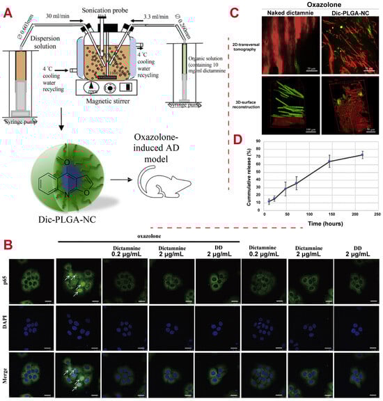 Polymers 16 02606 g007