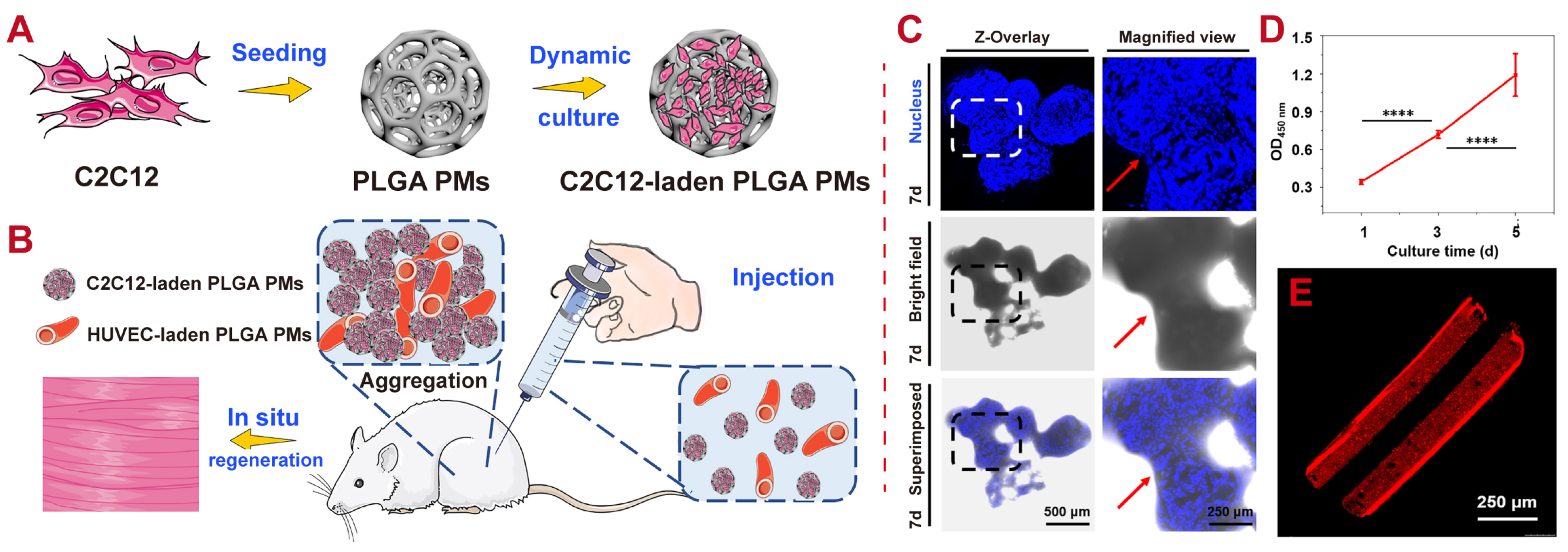 Polymers 16 02606 g009