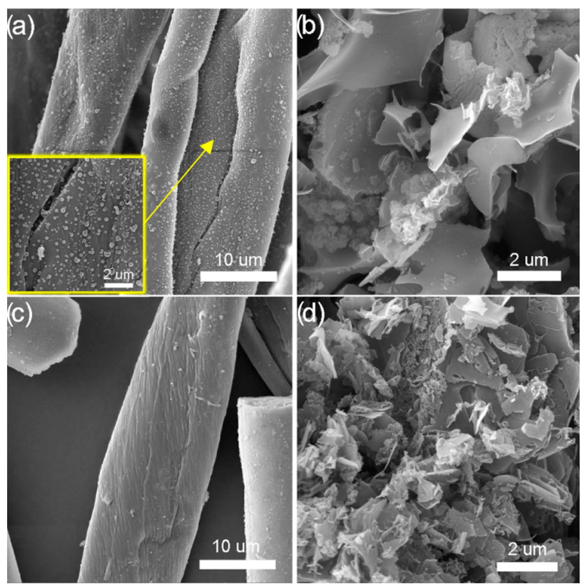 Polymers 16 02610 g001