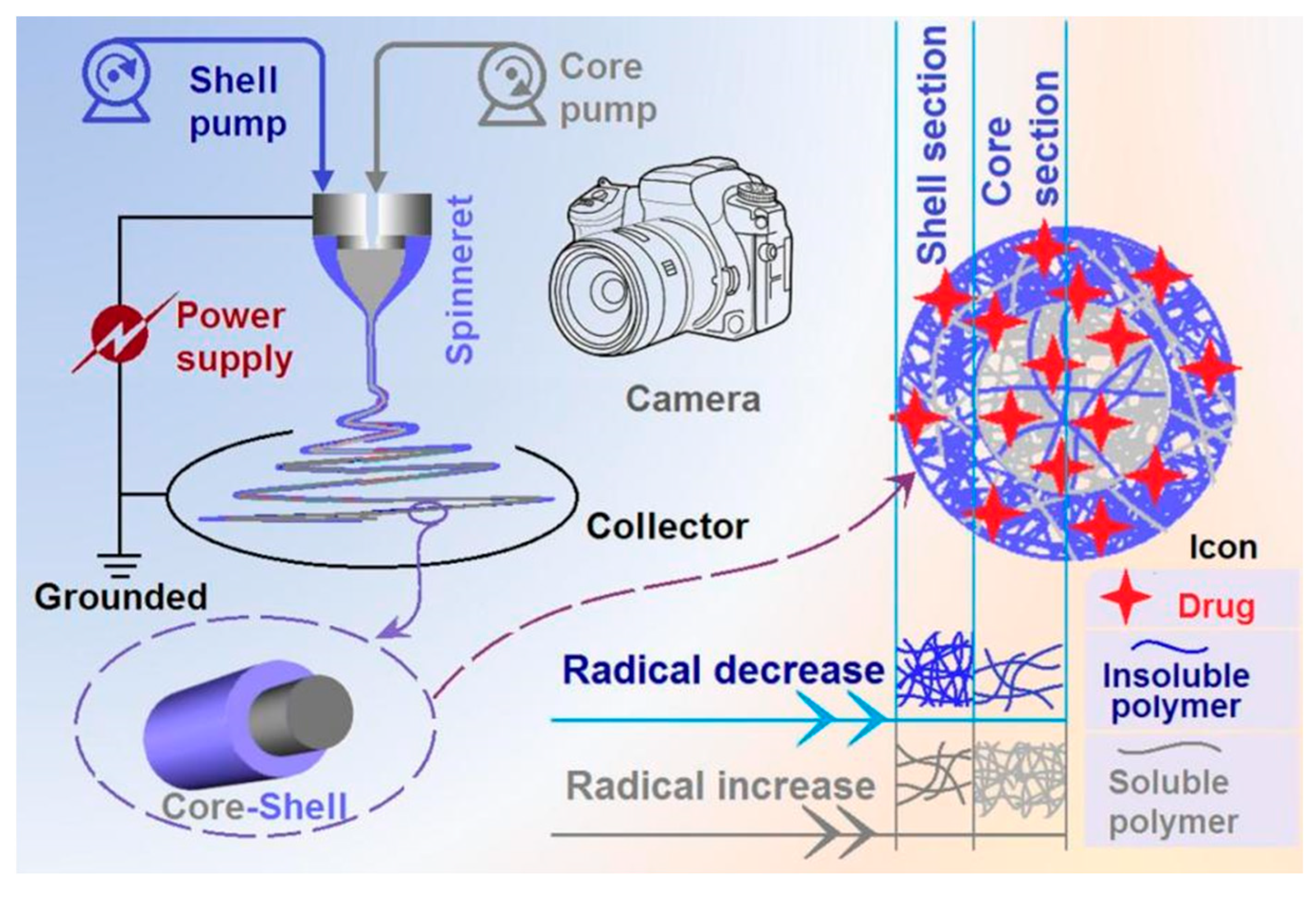 Polymers 16 02614 g001