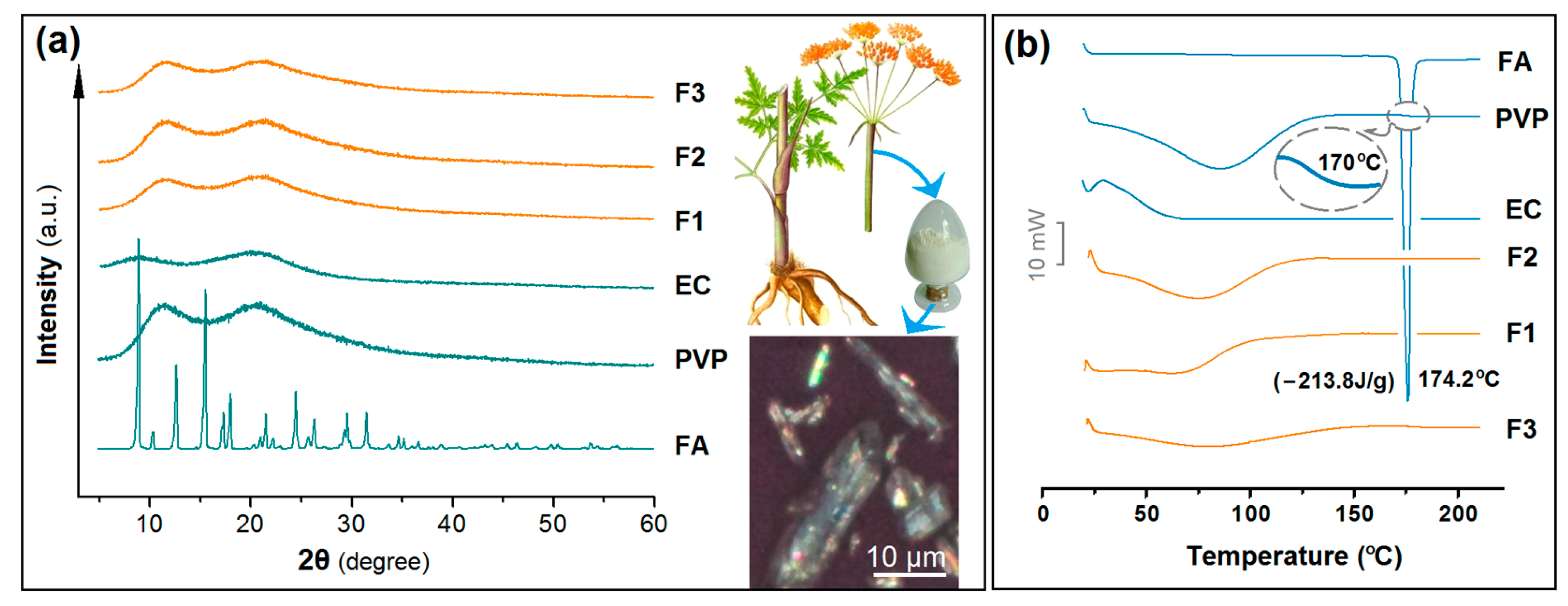 Polymers 16 02614 g006