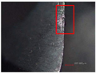 Polymers 16 02620 i002