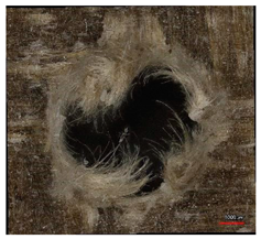 Polymers 16 02620 i008