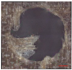 Polymers 16 02620 i010